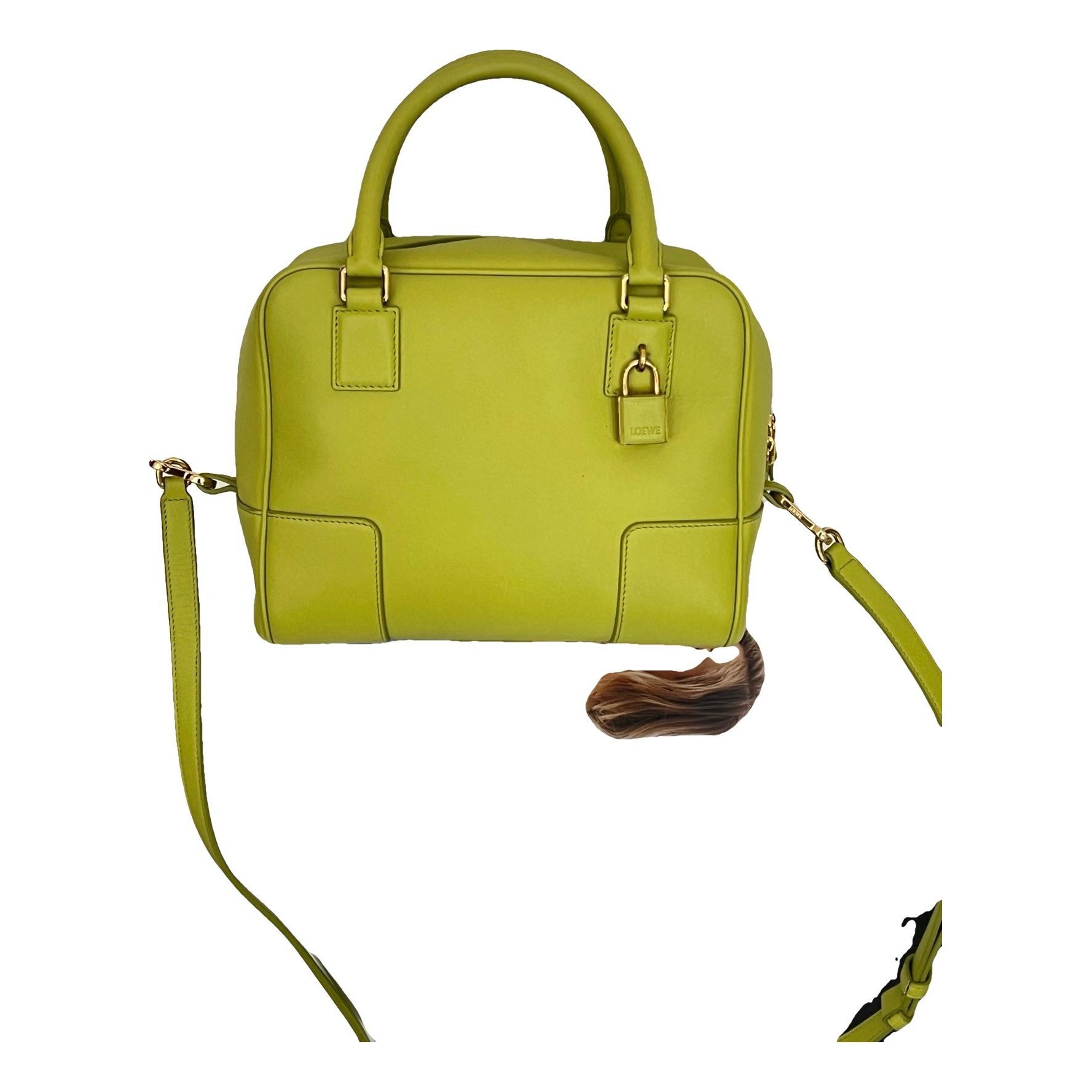 Amazona leather handbag