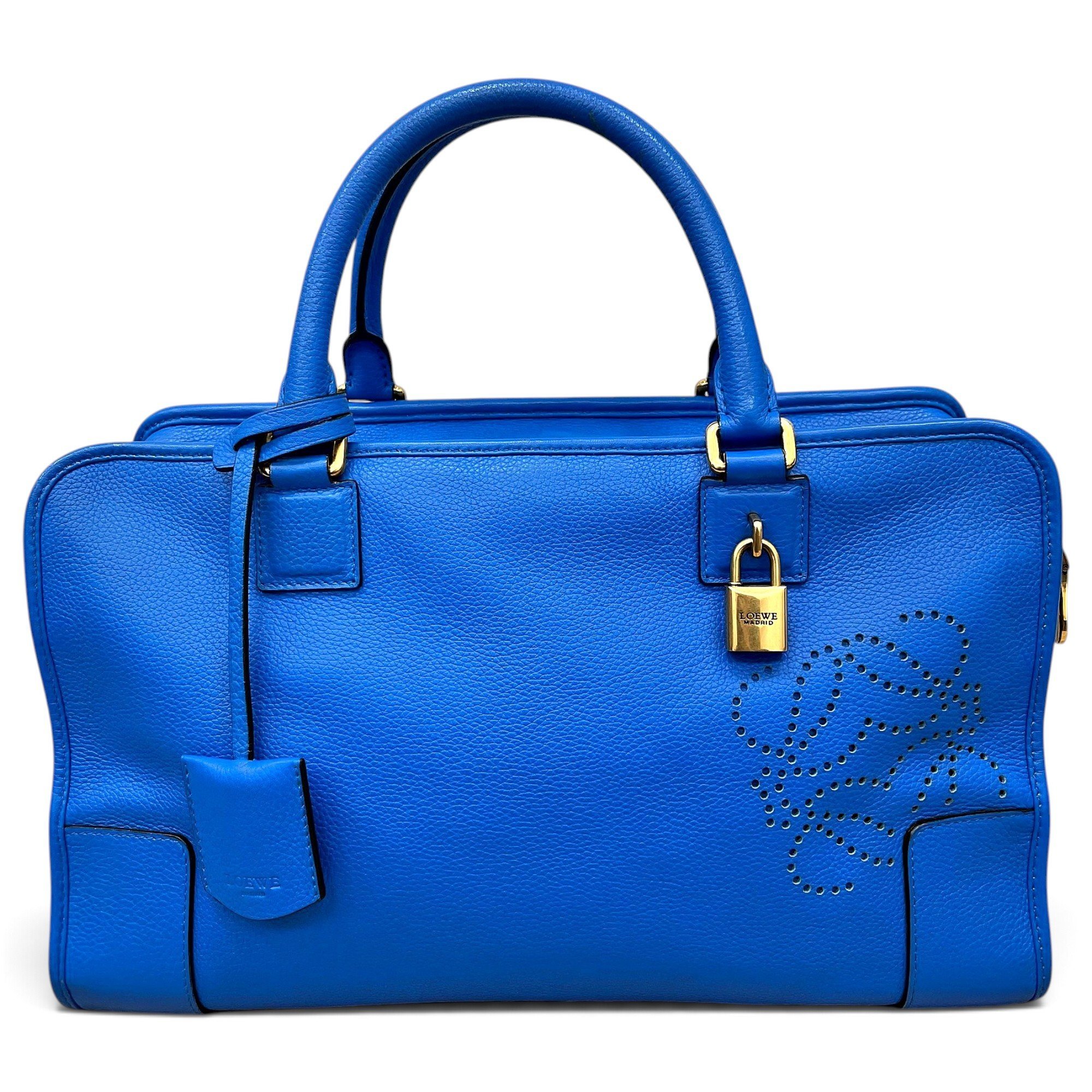 Amazona 180 leather handbag