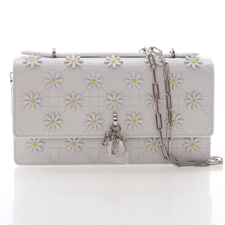 Christian Dior Wallet on Chain