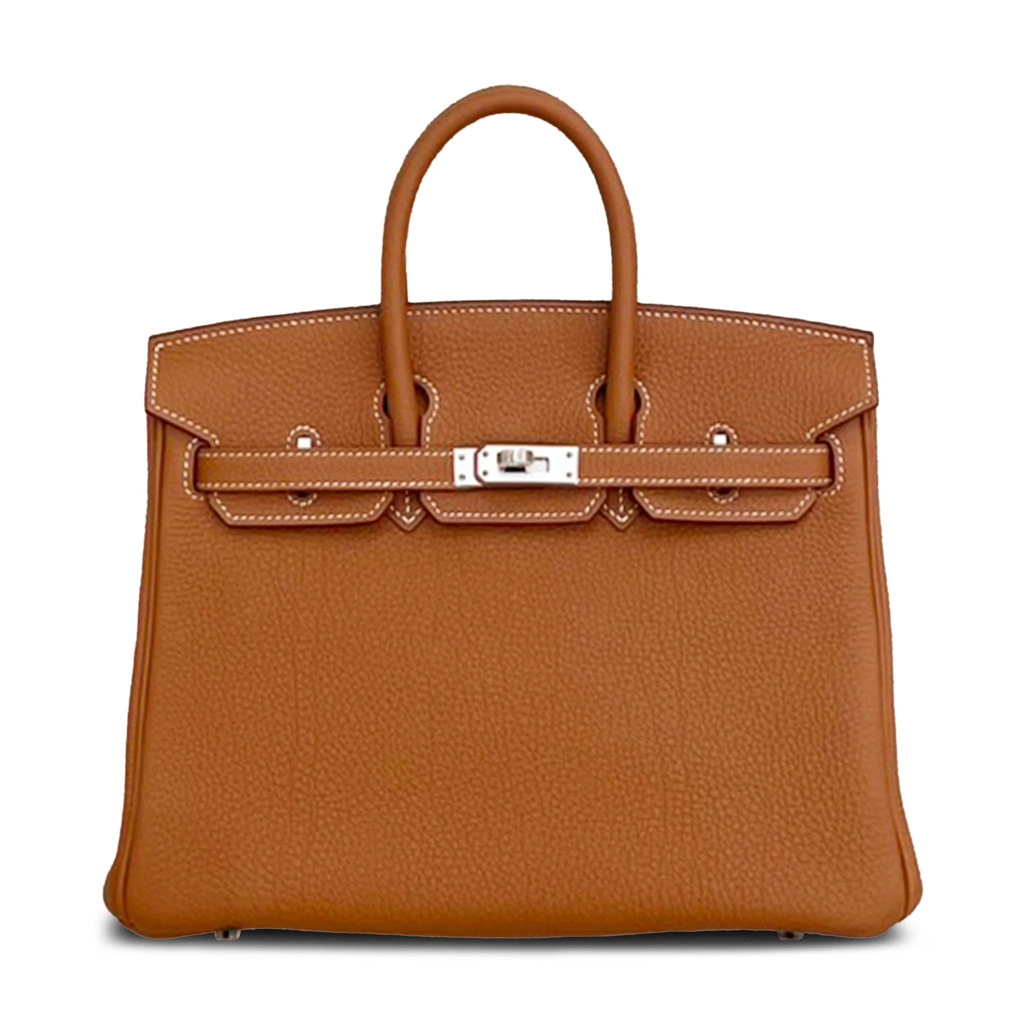 Hermes Brand New ( Rank N ) HERMÈS Birkin 25 Gold (37) Togo Palladium hardware K (2025)