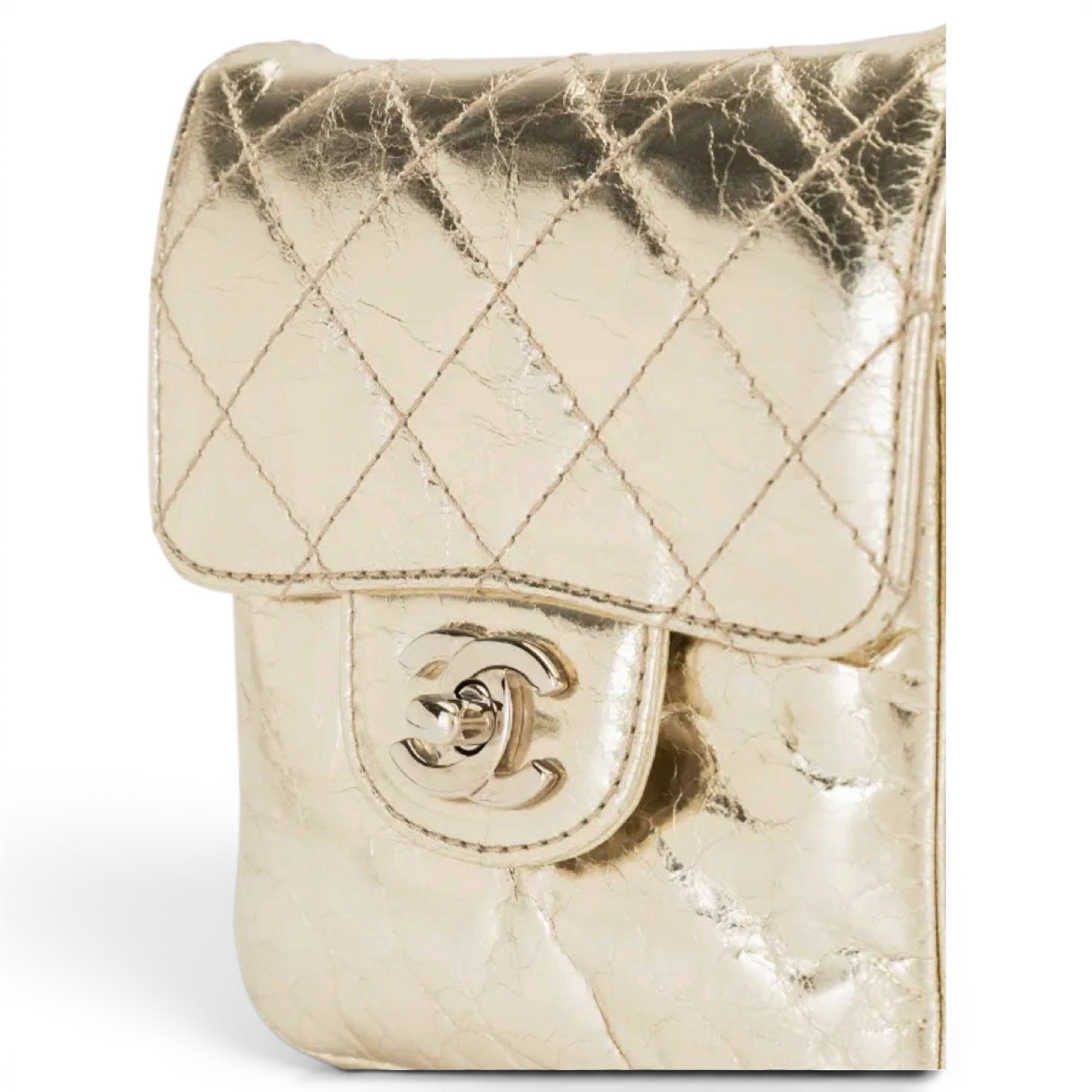 Timeless/Classique leather mini bag