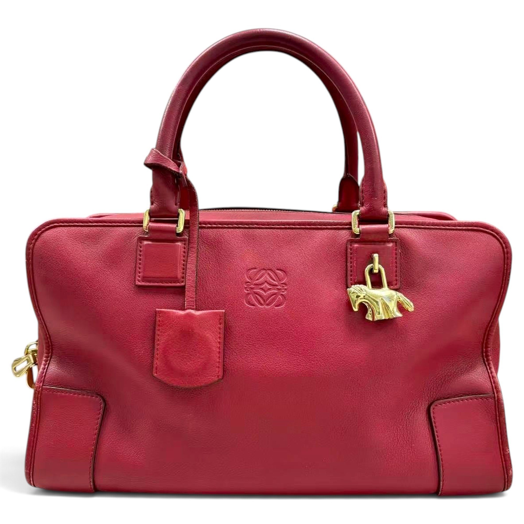 Amazona leather handbag