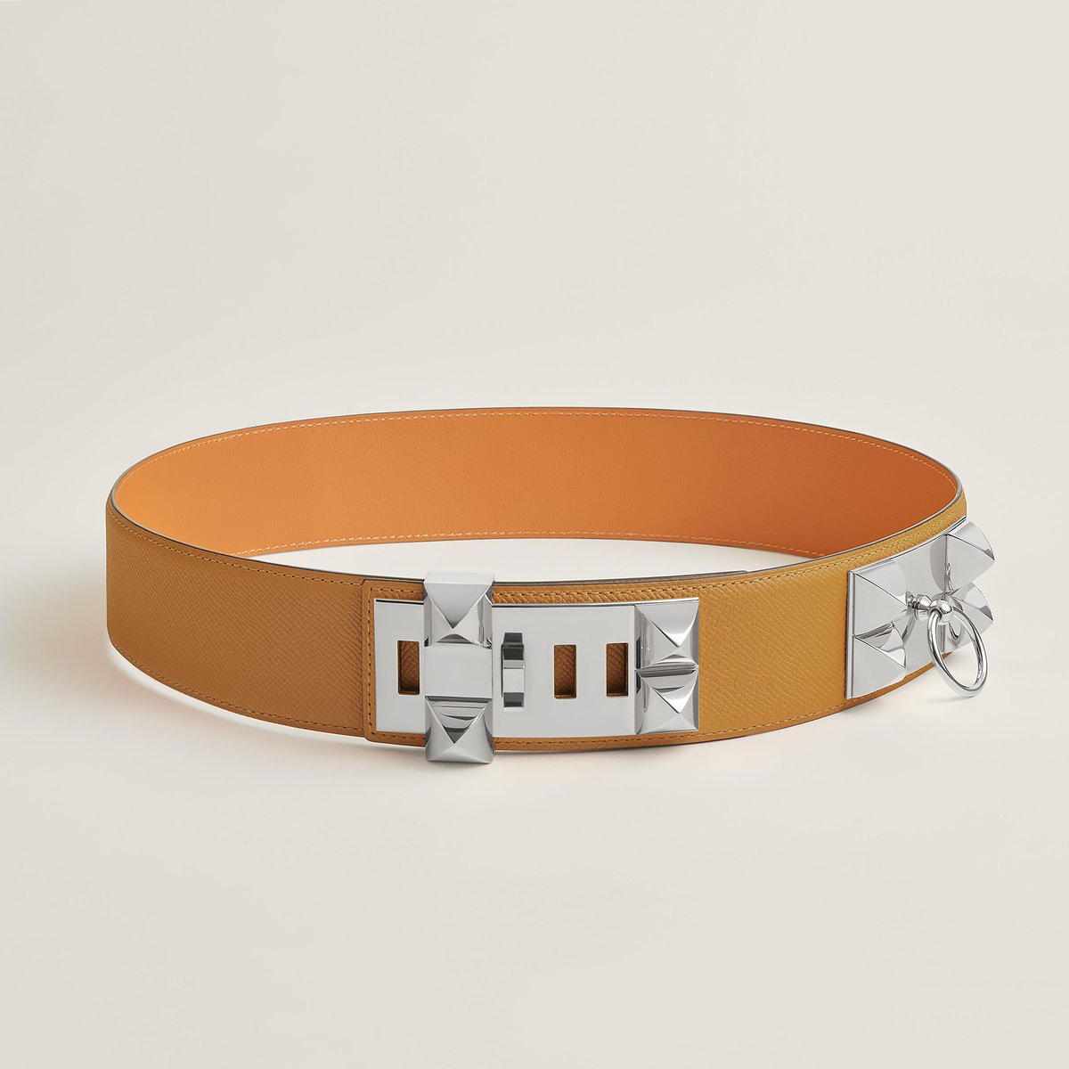 Biscuit Collier De Chien 50 Belt