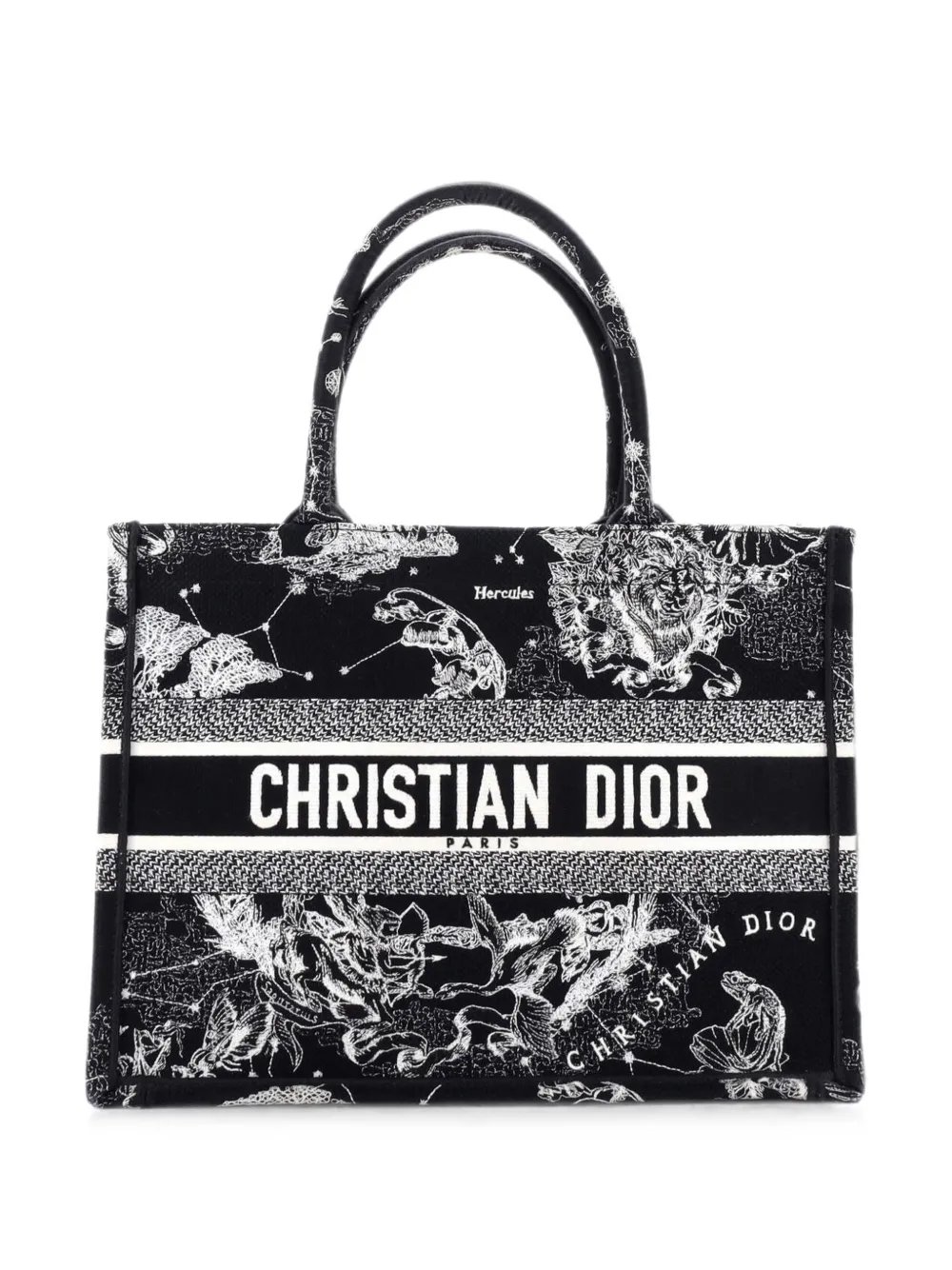 Book Embroidered Canvas Medium tote bag