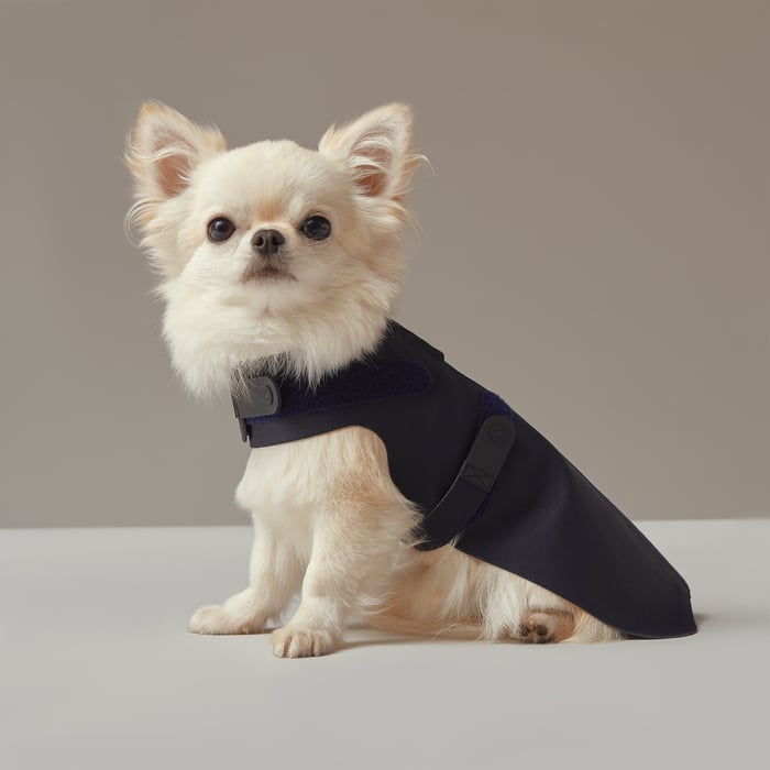 Dog Raincoat, Xs and S