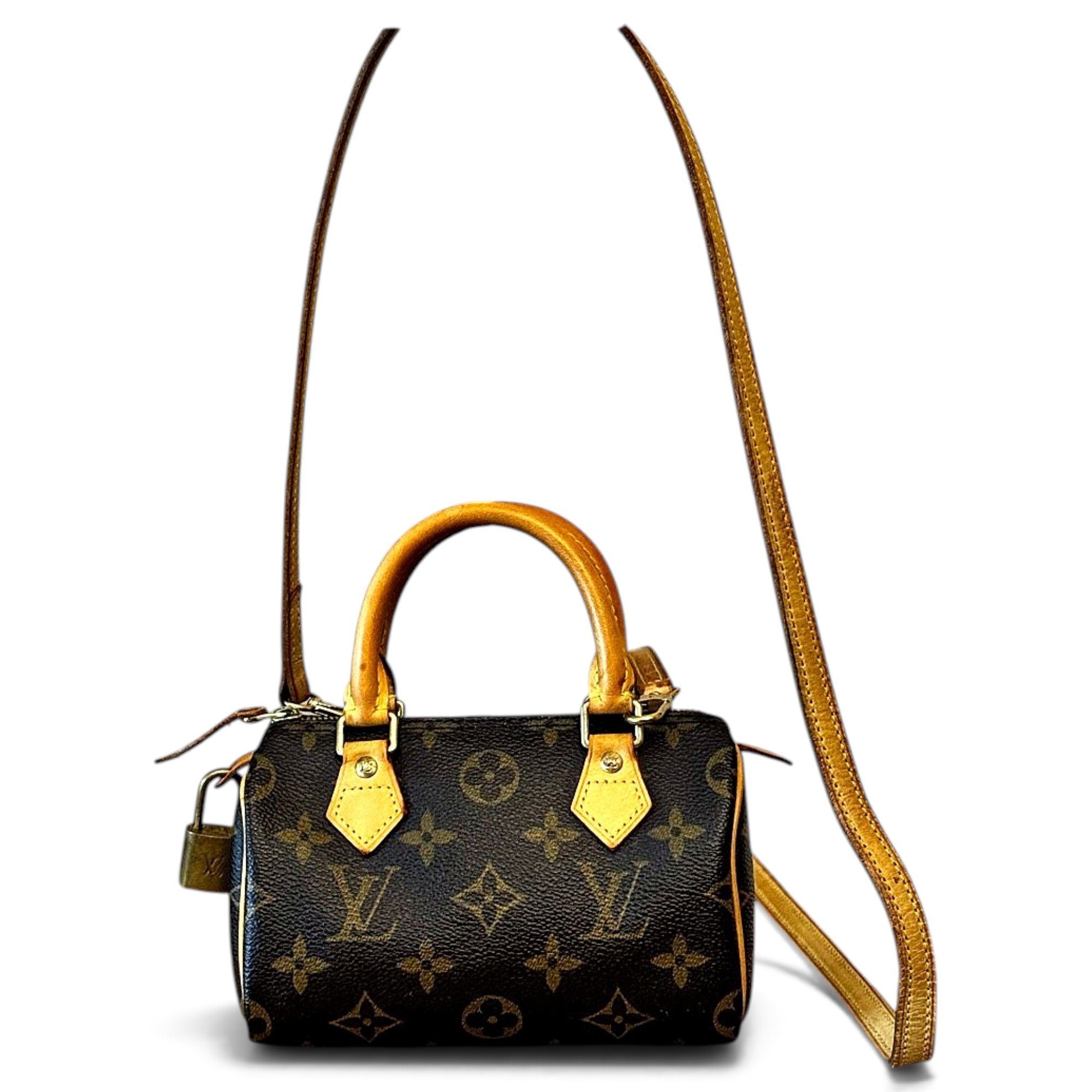 Louis Vuitton Nano Speedy / Mini HL leather mini bag
