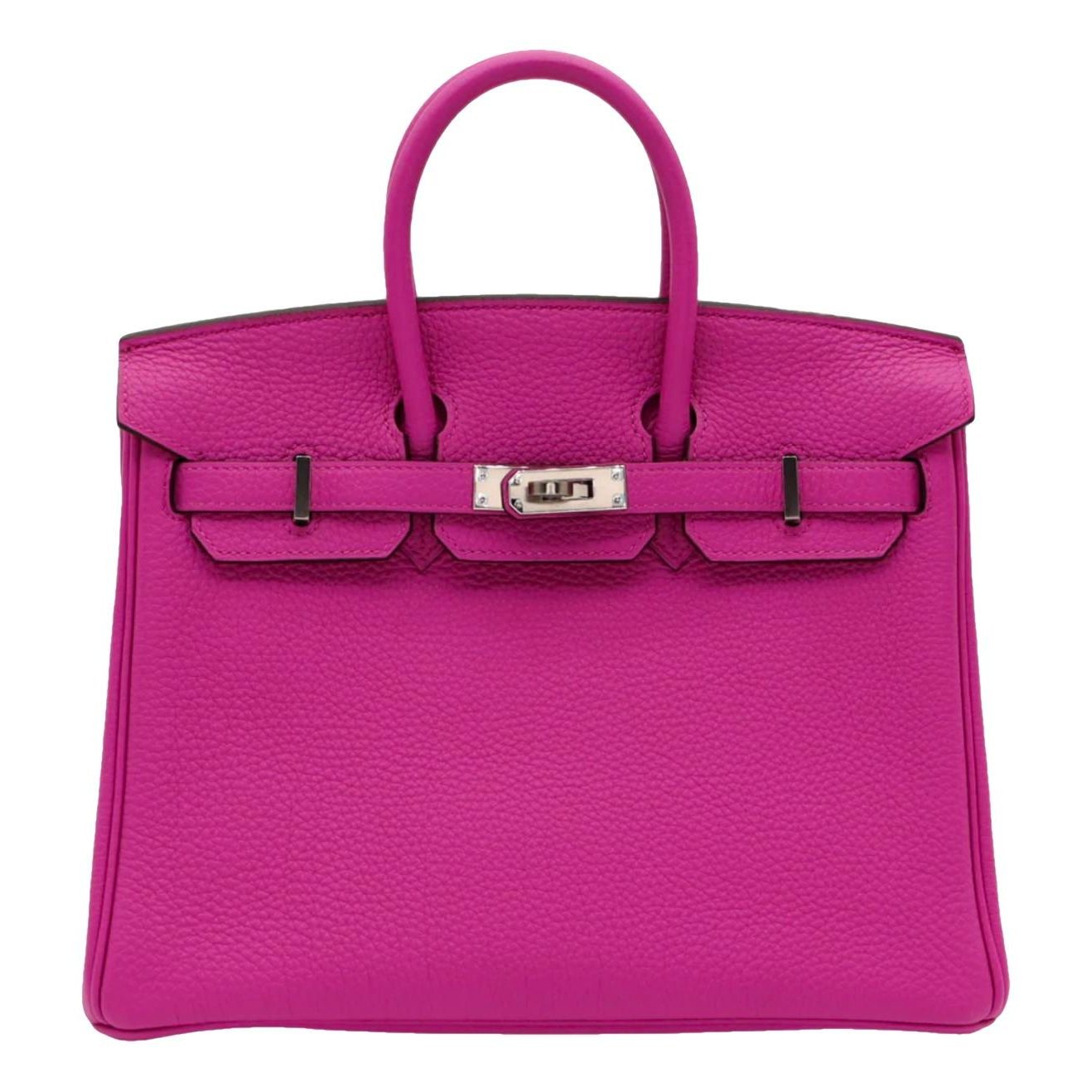 Hermes Birkin 25 Handbag Magnolia Togo Leather 2018