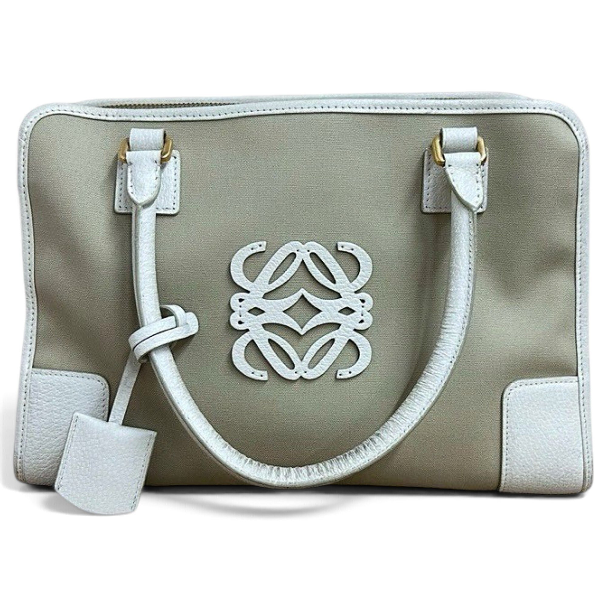 Amazona cloth handbag