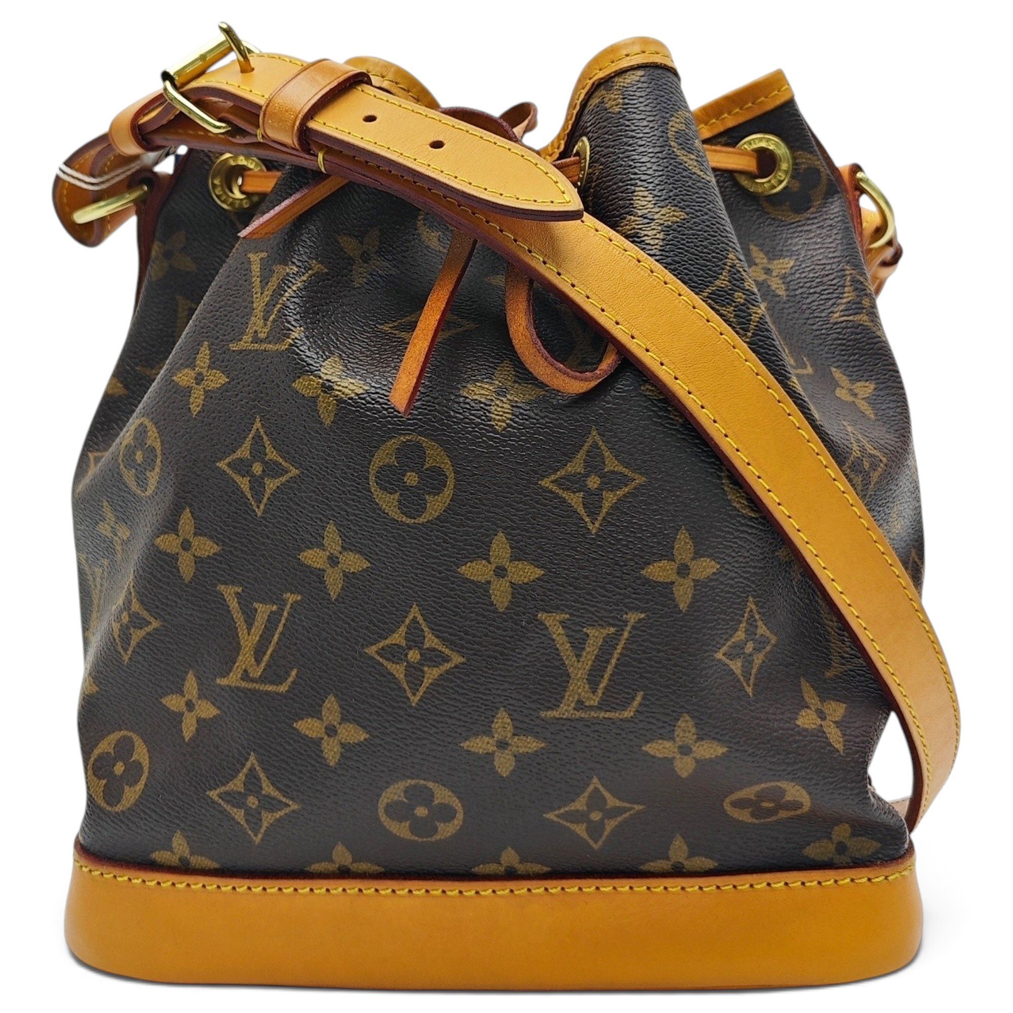 Nano Noé leather handbag