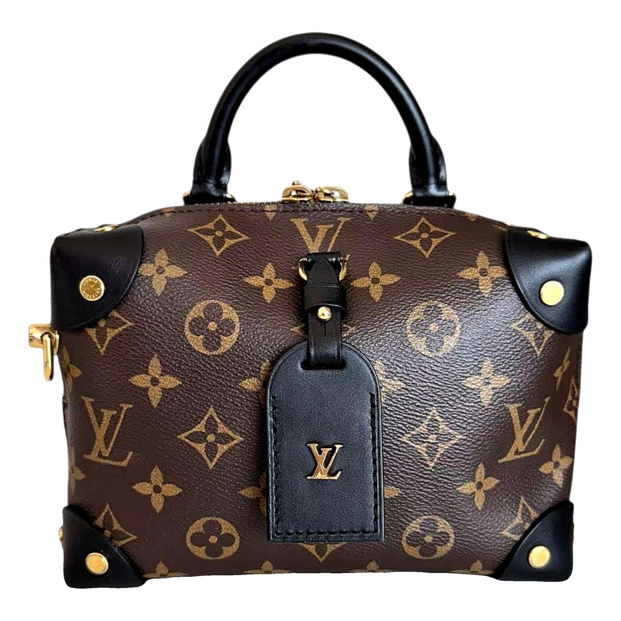 Petite Malle Souple leather handbag