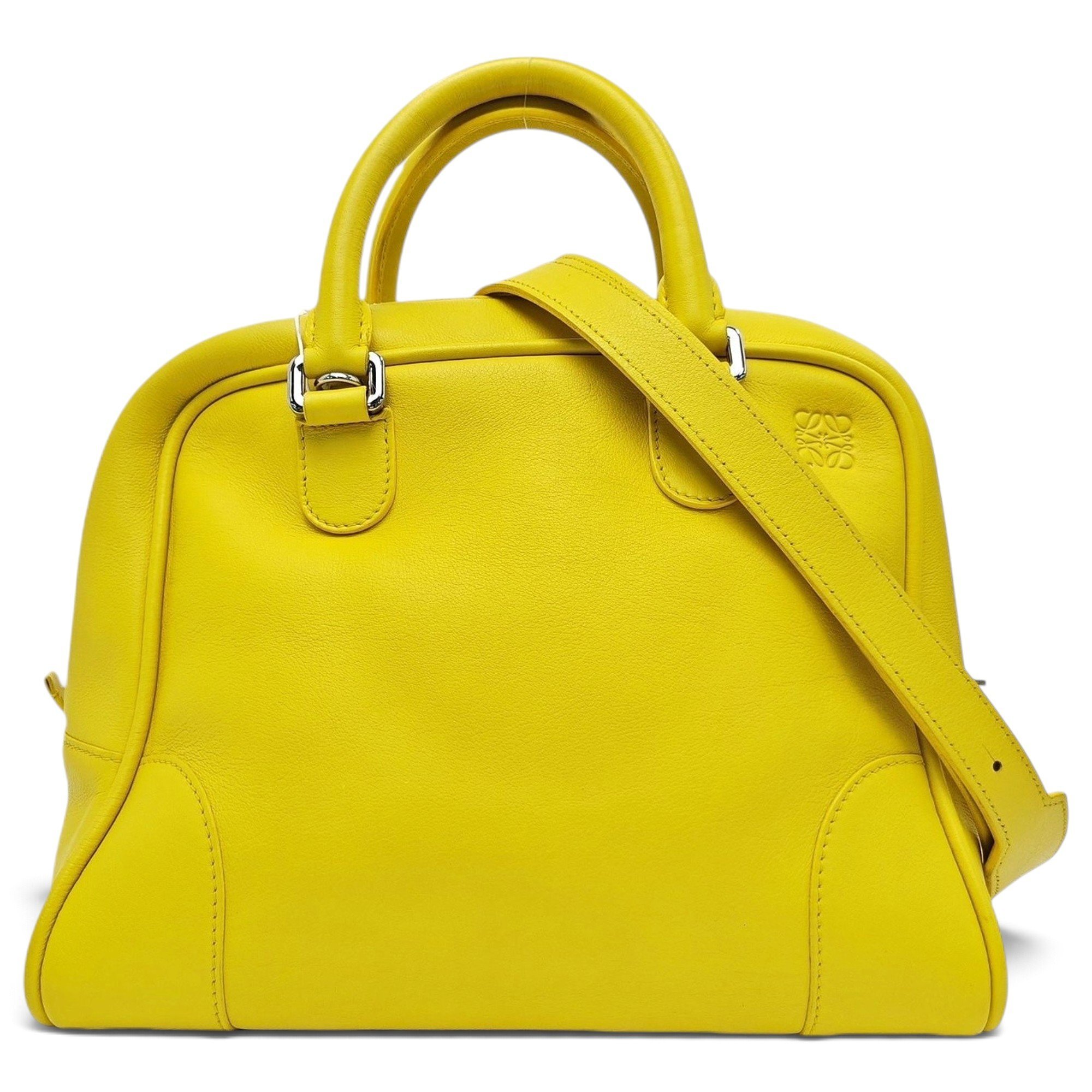 Amazona leather handbag