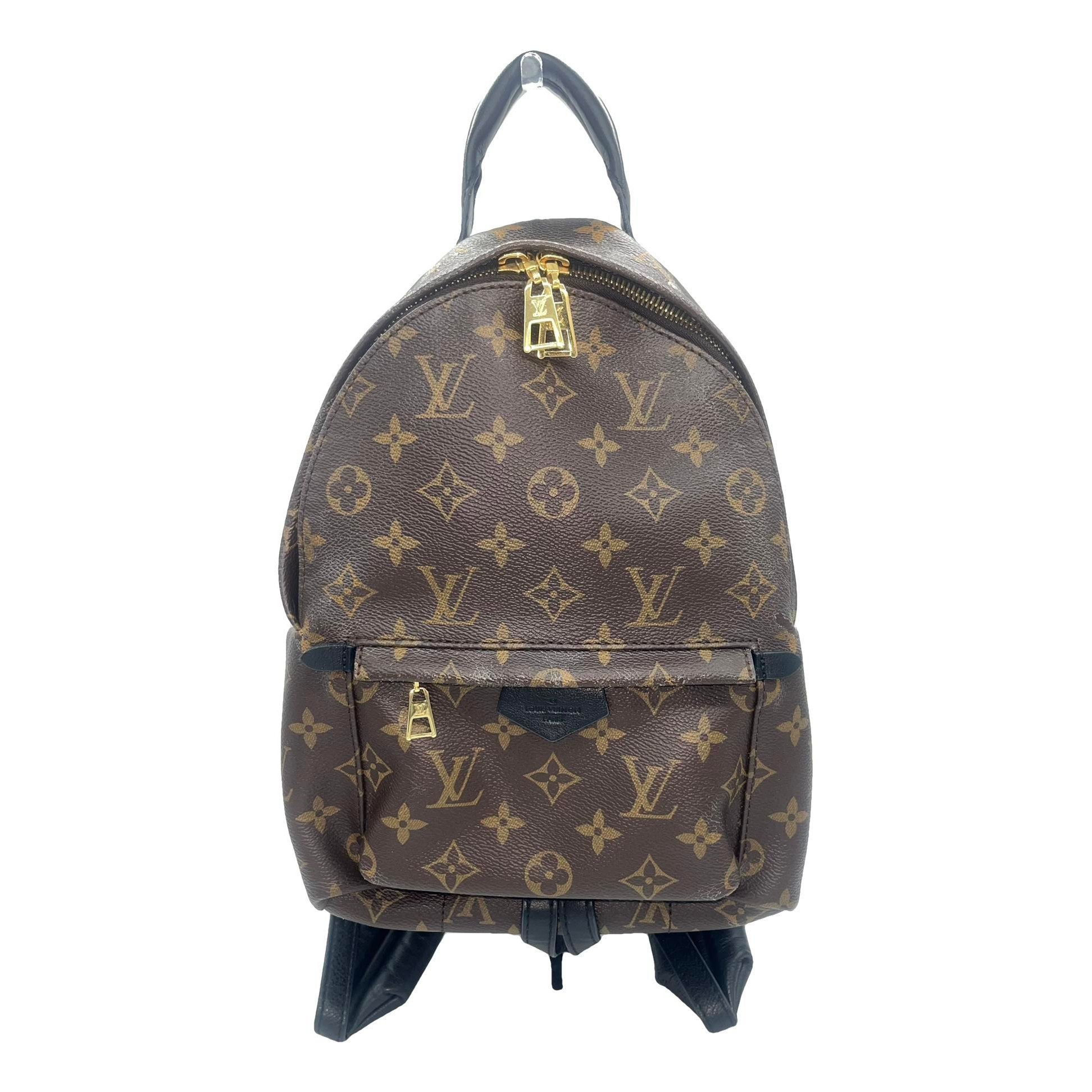 Louis Vuitton Palm Springs leather backpack