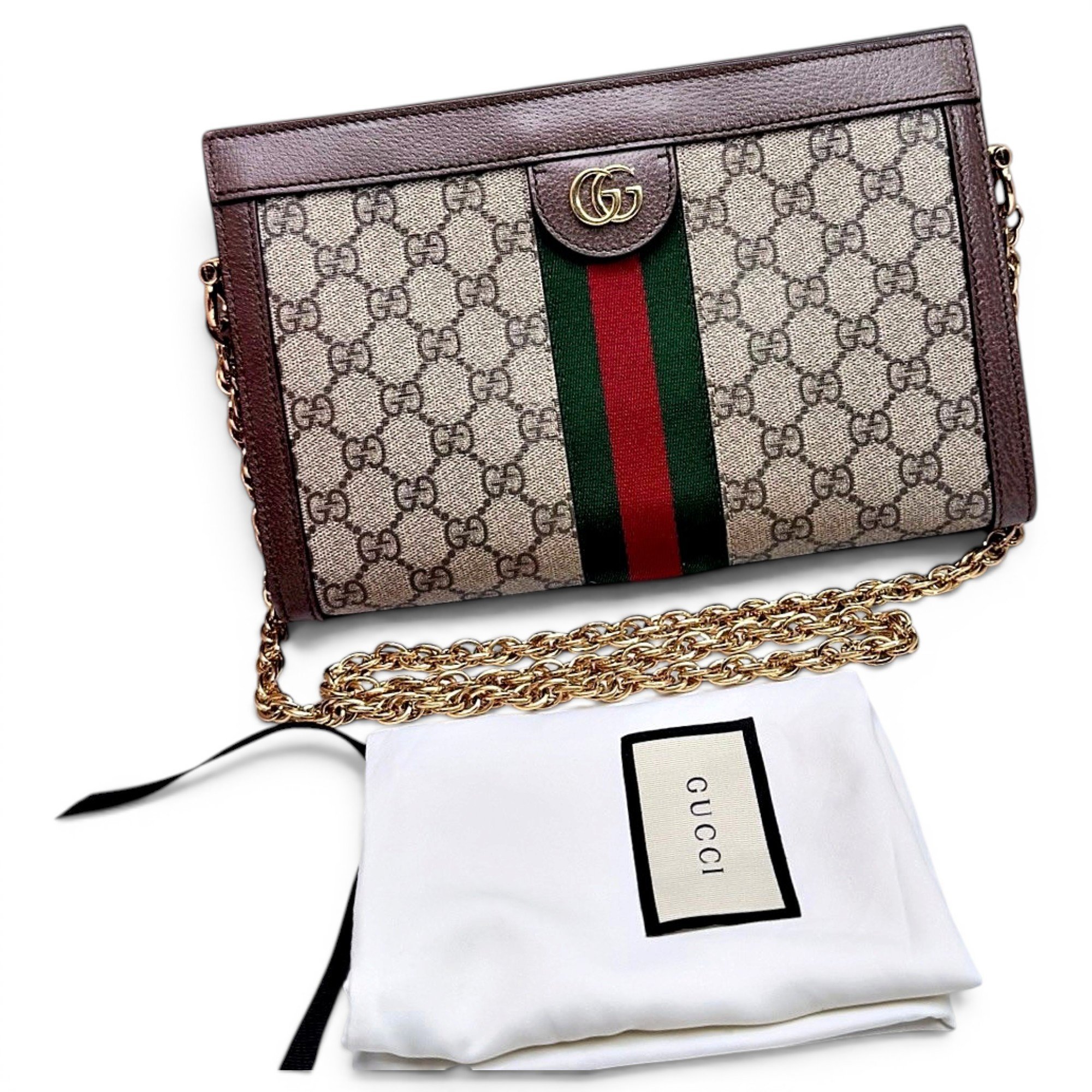 Ophidia Chain leather handbag