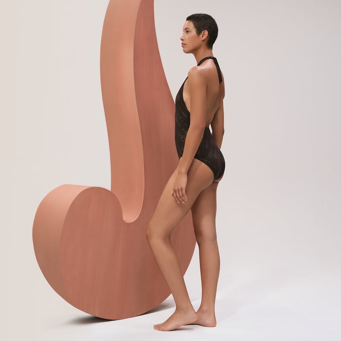 Marron Fusain Emela Swimsuit