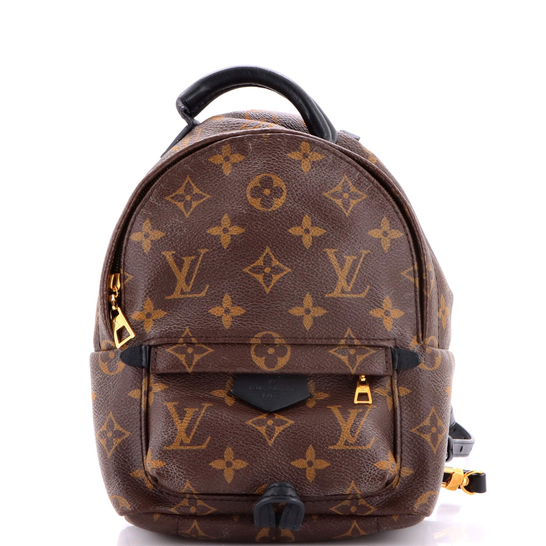 Louis Vuitton Palm Springs Backpack Monogram Canvas Mini