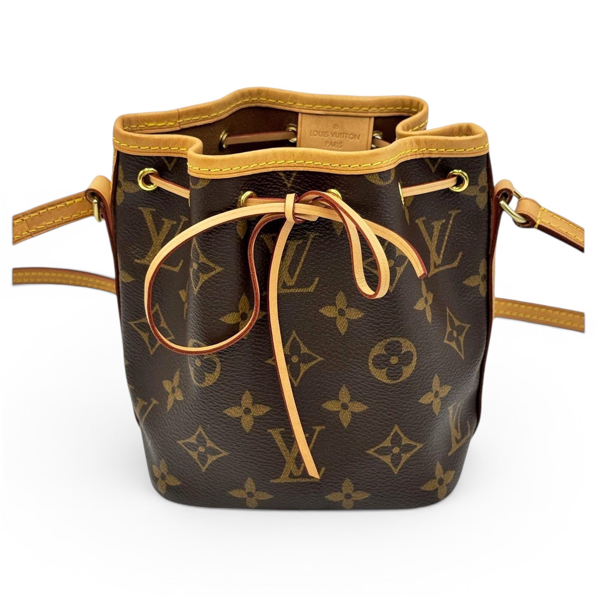 Nano Noé leather handbag