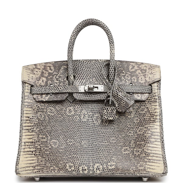 Hermes Hermes Birkin 25 Ombre Shiny Varanus Salvator Lizard Palladium Hardware