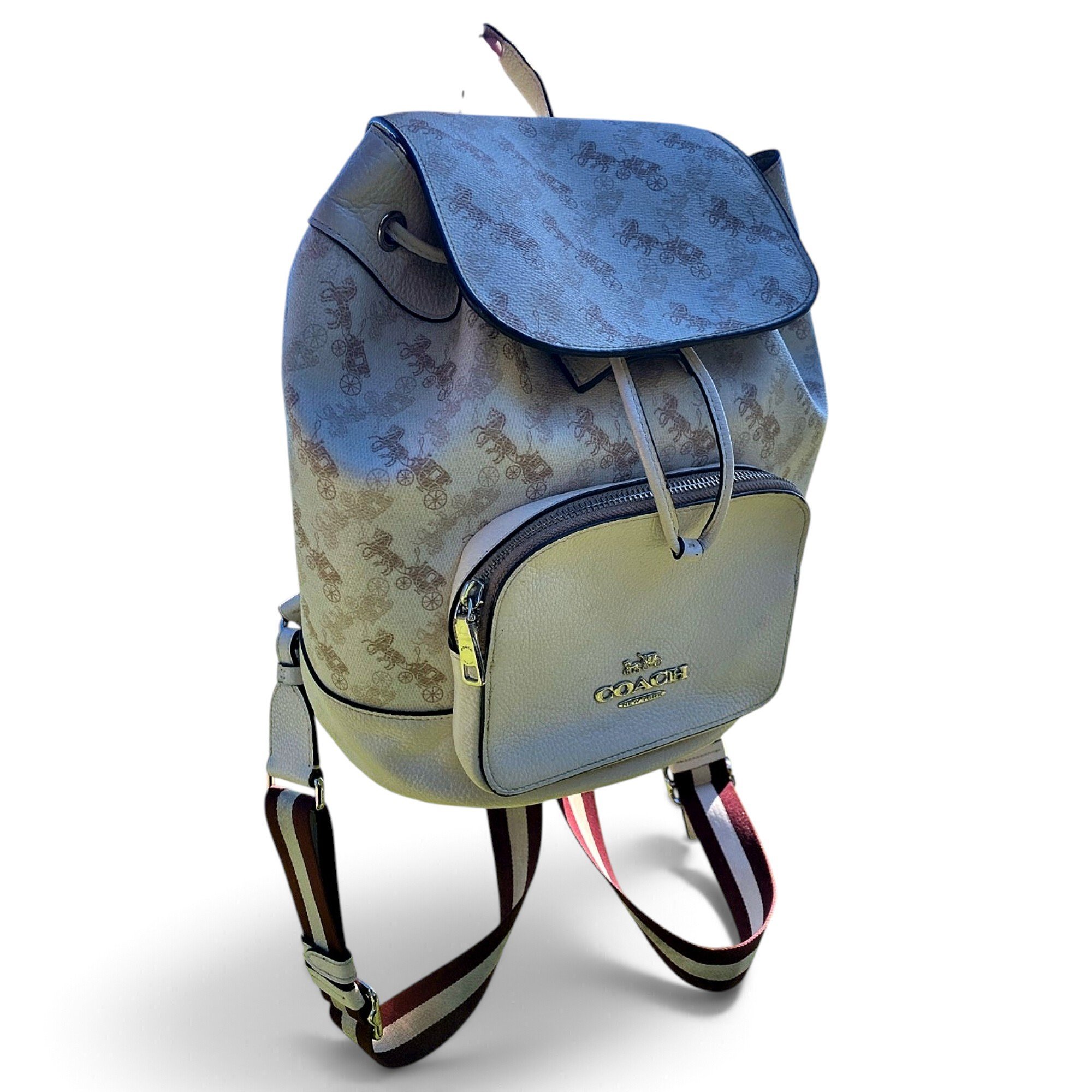 Leather backpack