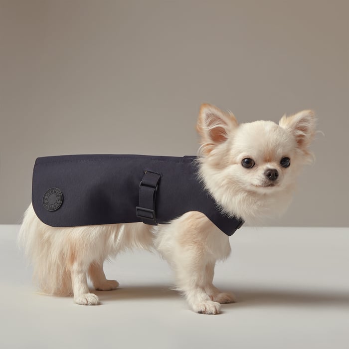 Dog Raincoat, Xs and S