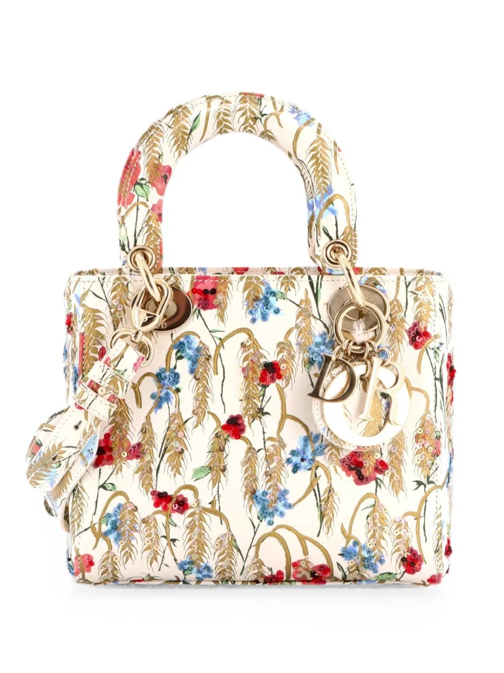 My ABCDior Lady Dior Bag Embroidered Printed Leather satchel