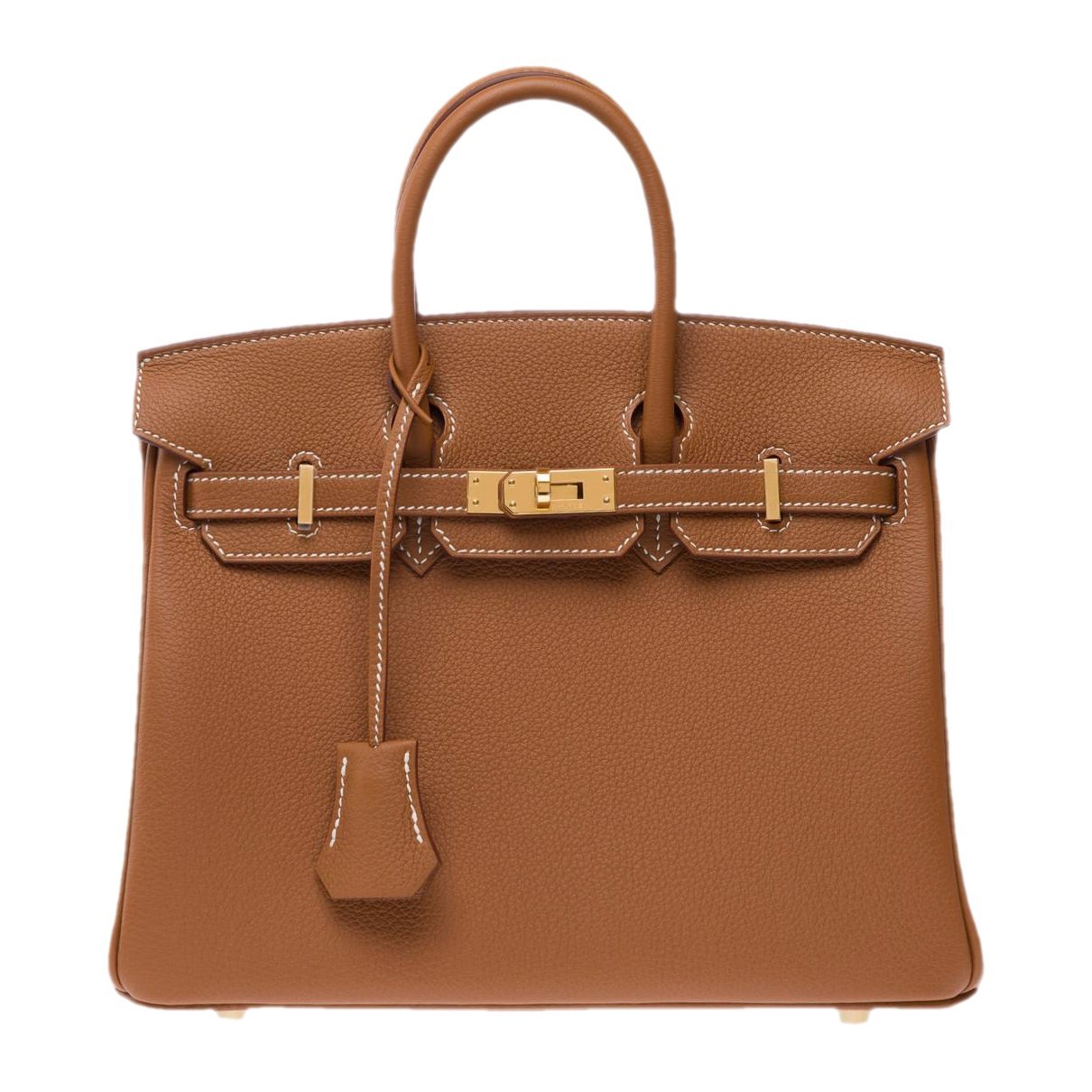 Hermes Birkin 25 Handbag Togo Leather 2025