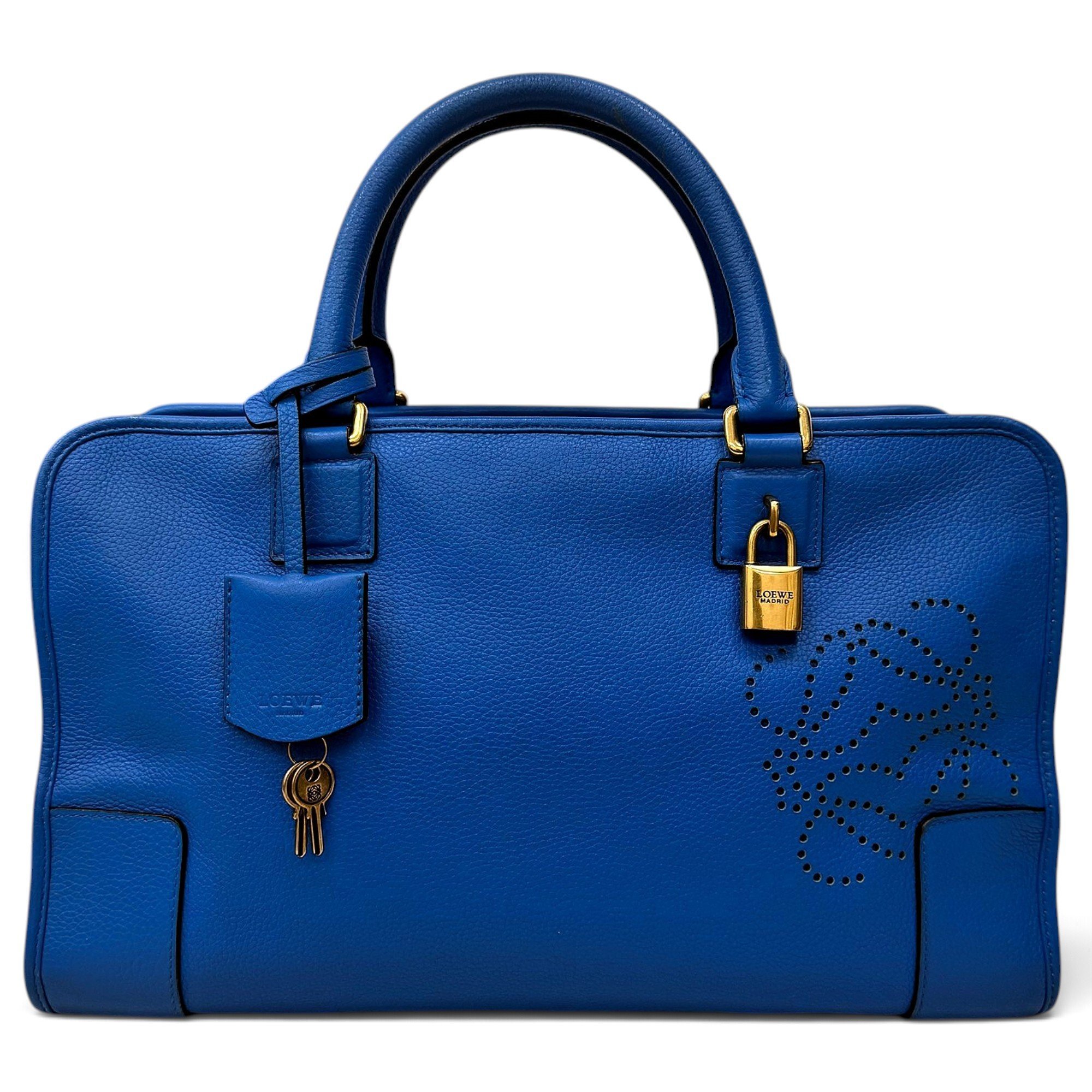 Amazona leather handbag