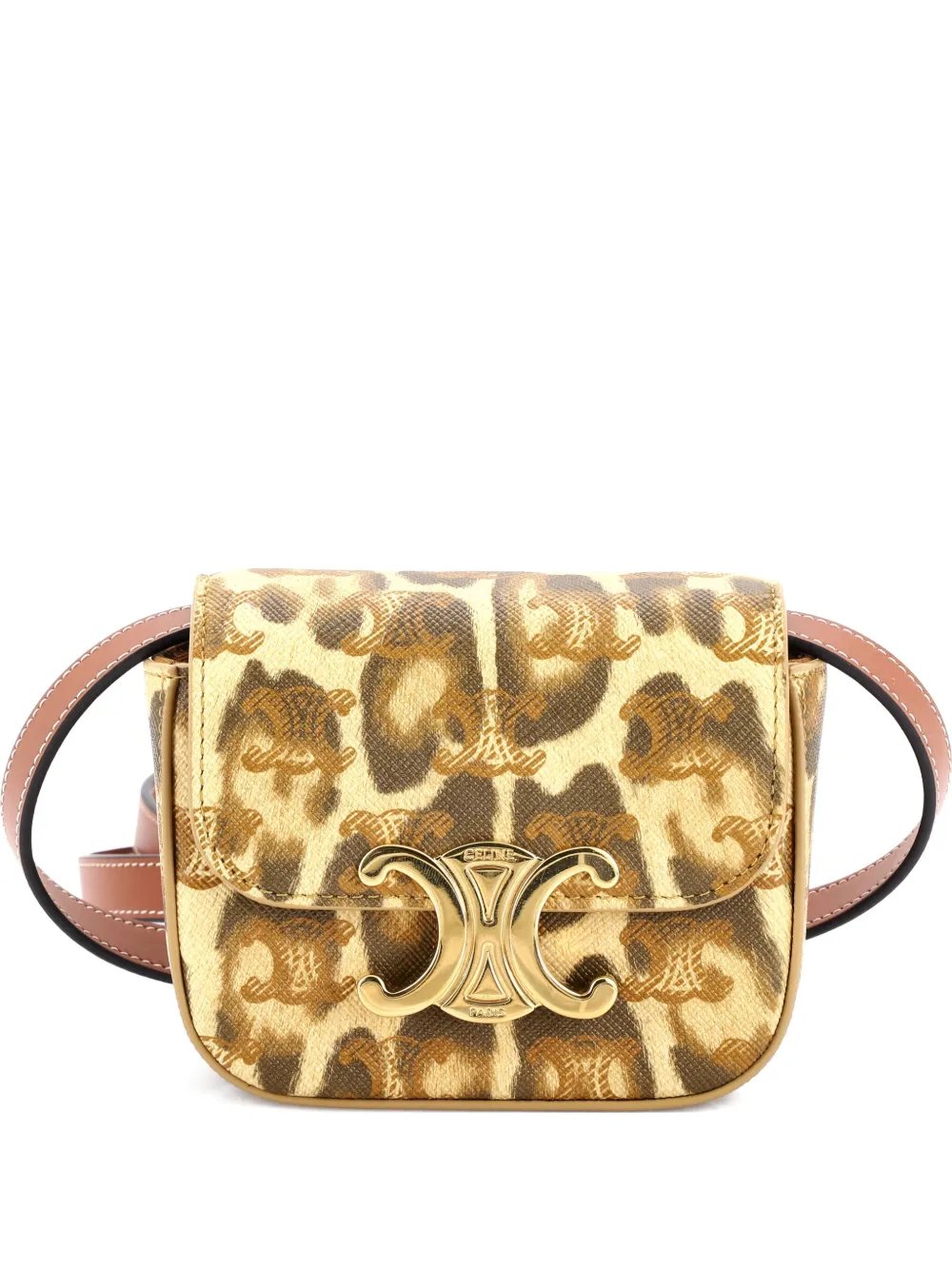 Celine Claude Printed Triomphe Coated Canvas Mini shoulder bag