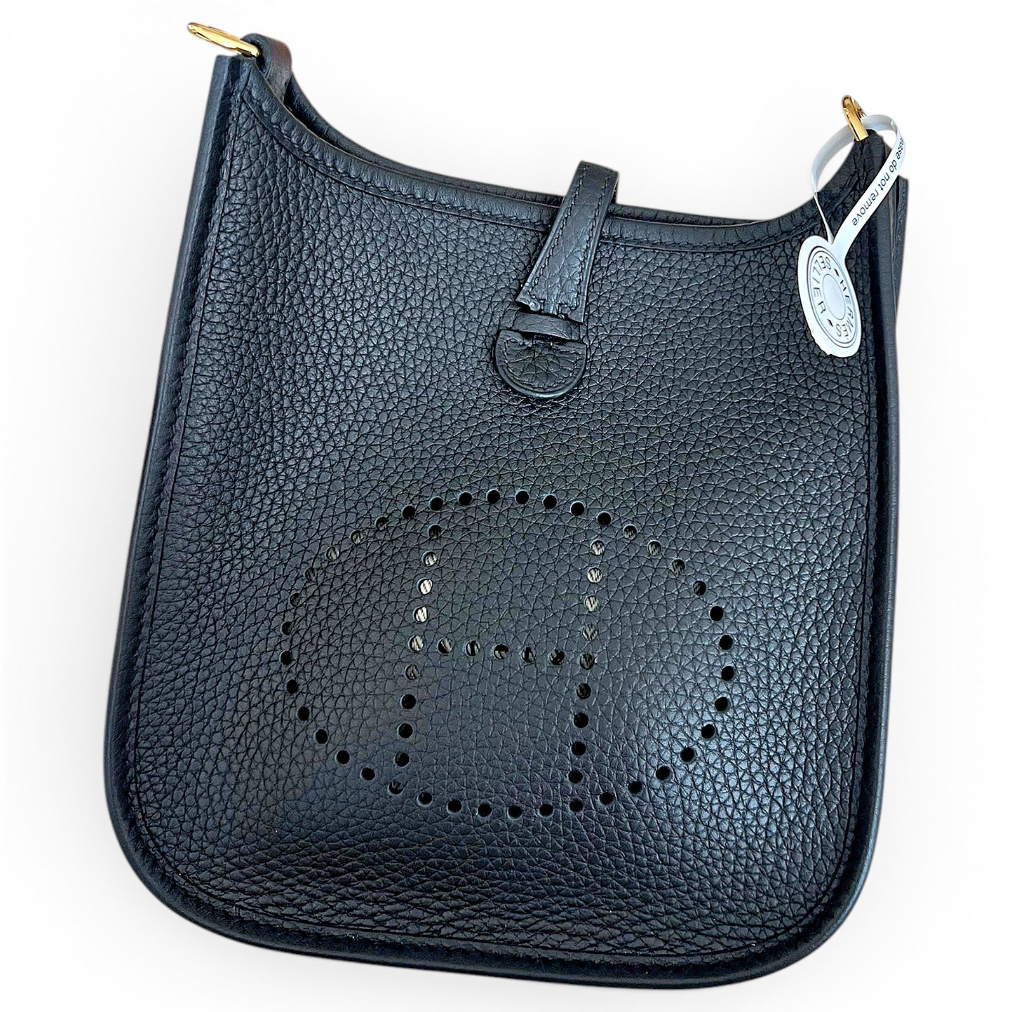Mini Evelyne leather crossbody bag