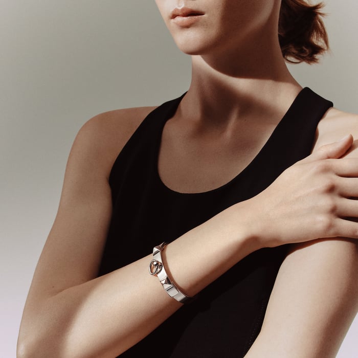 Sans Coloris Collier De Chien Bracelet, Small Model