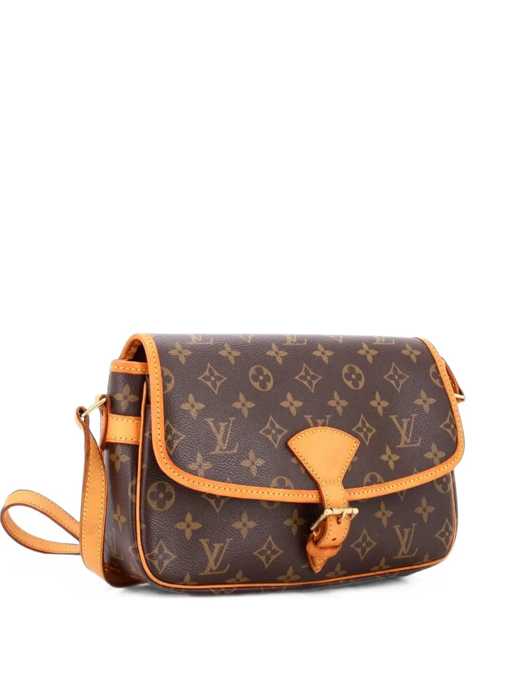 Sologne Handbag Monogram Canvas crossbody bag