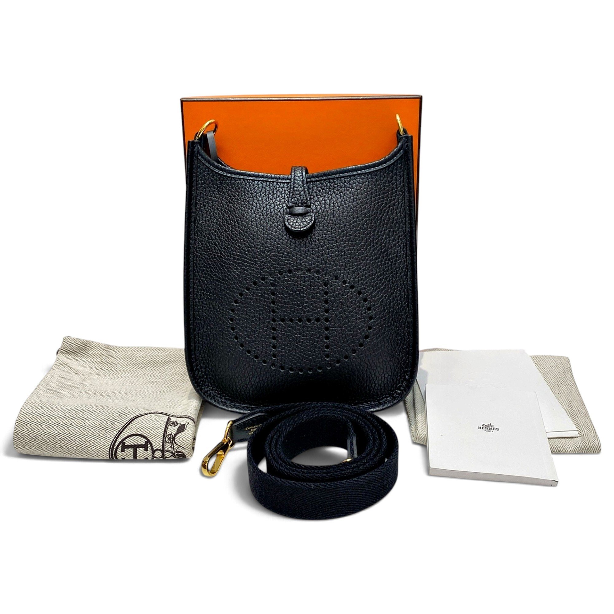 Mini Evelyne leather handbag