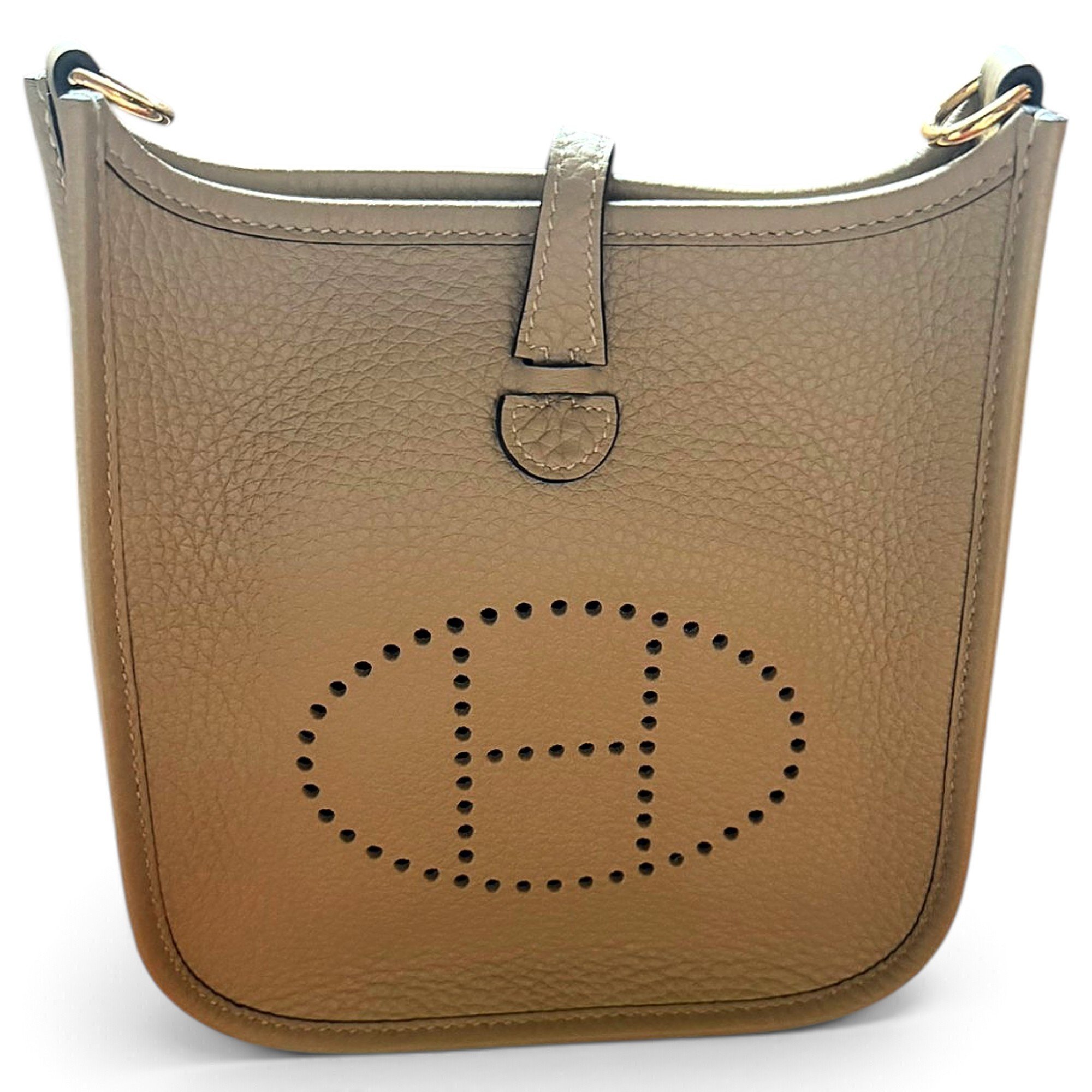 Mini Evelyne leather crossbody bag