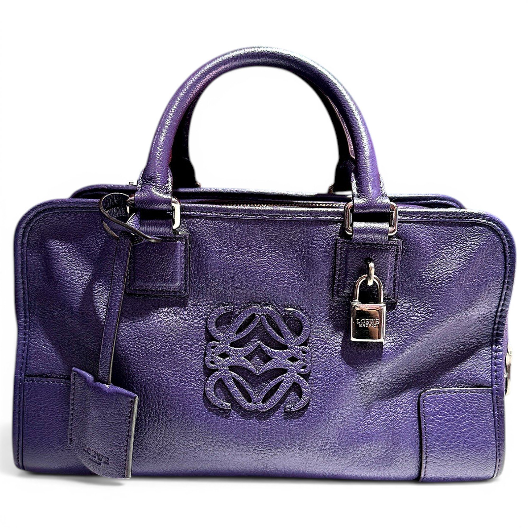 Amazona leather handbag
