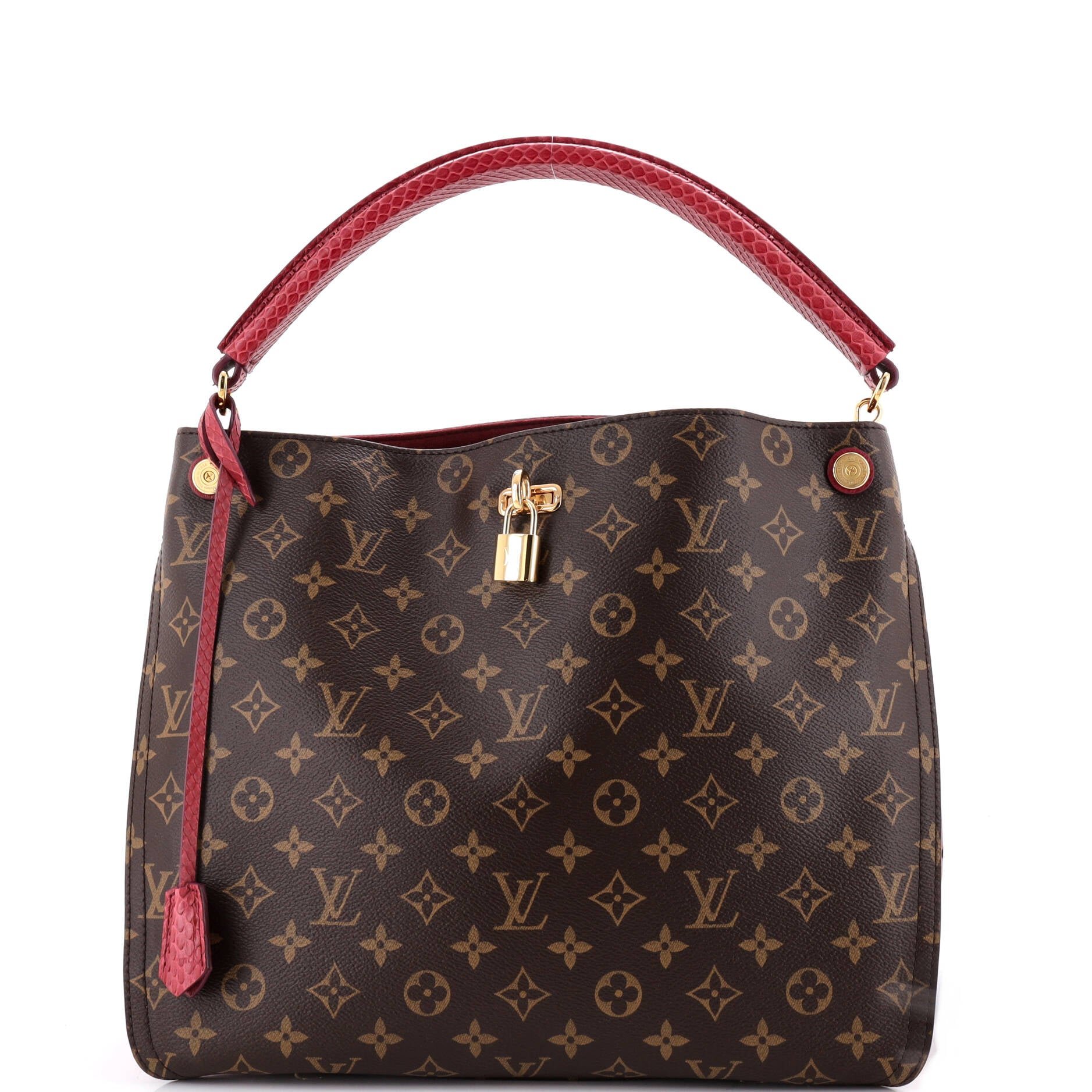 Gaia Handbag Monogram Canvas with Python and Ostrich