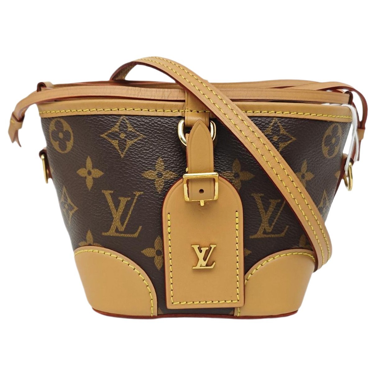 Nano Noé leather crossbody bag