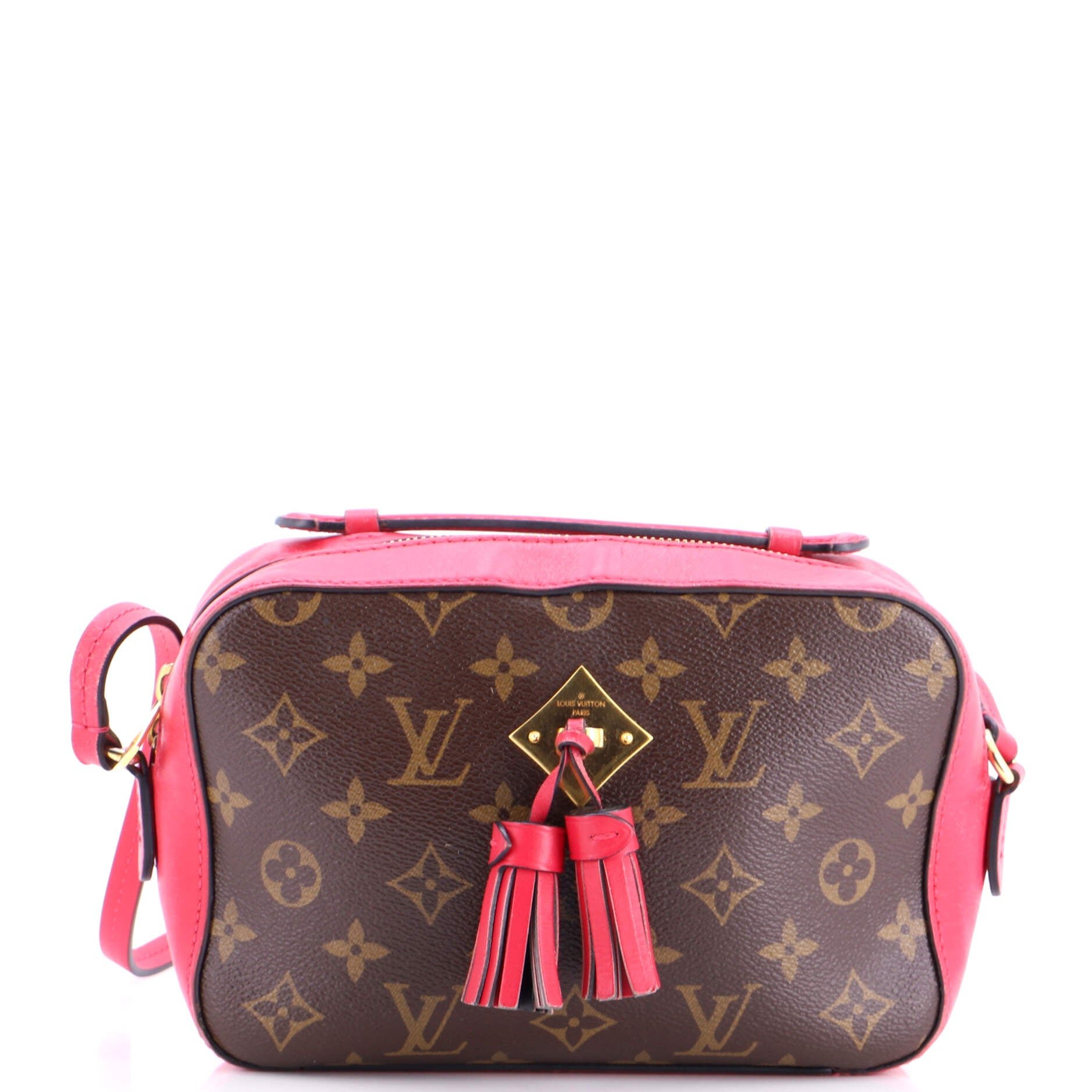 Saintonge Handbag Monogram Canvas with Leather