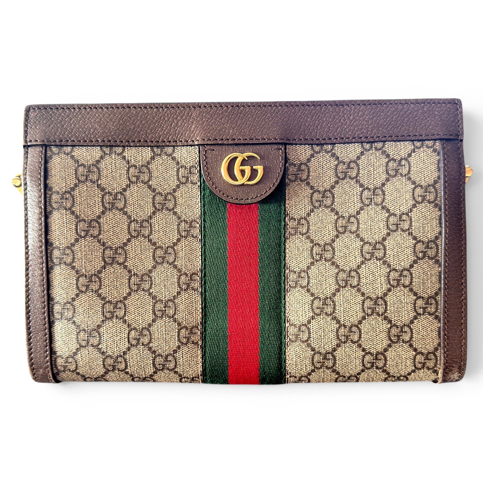 Ophidia Chain leather handbag
