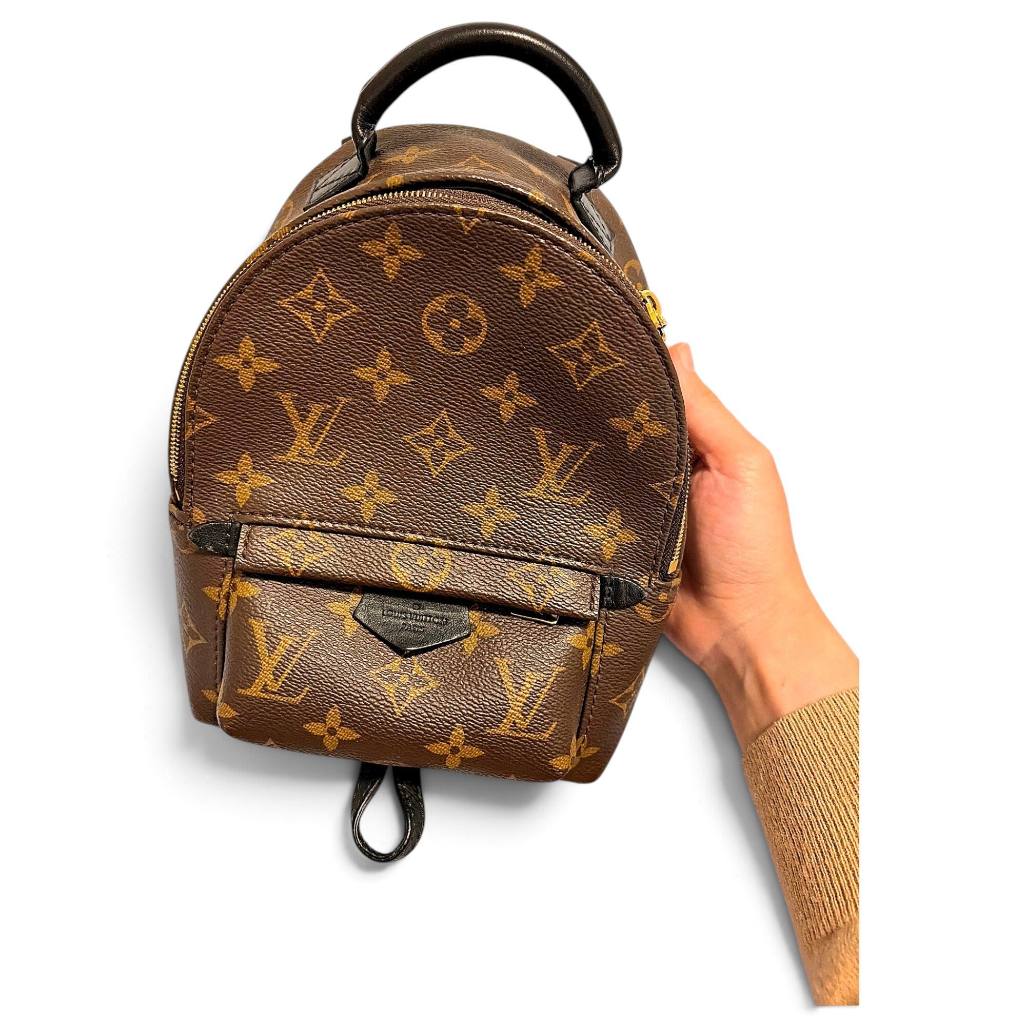 Palm Springs backpack
