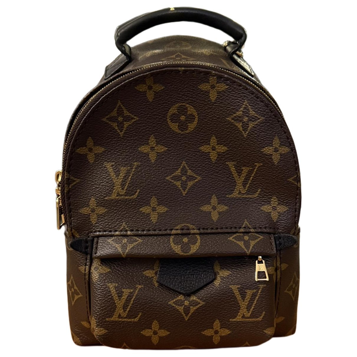 Louis Vuitton Leather bag