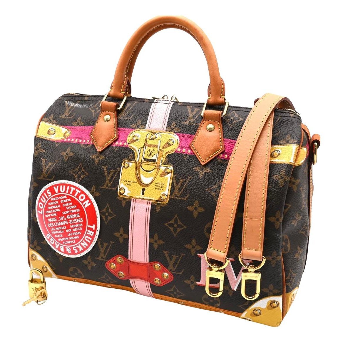 Louis Vuitton Speedy leather handbag