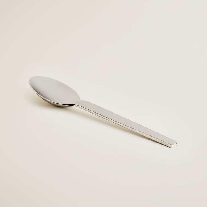 Sans Coloris Hts Serving Spoon