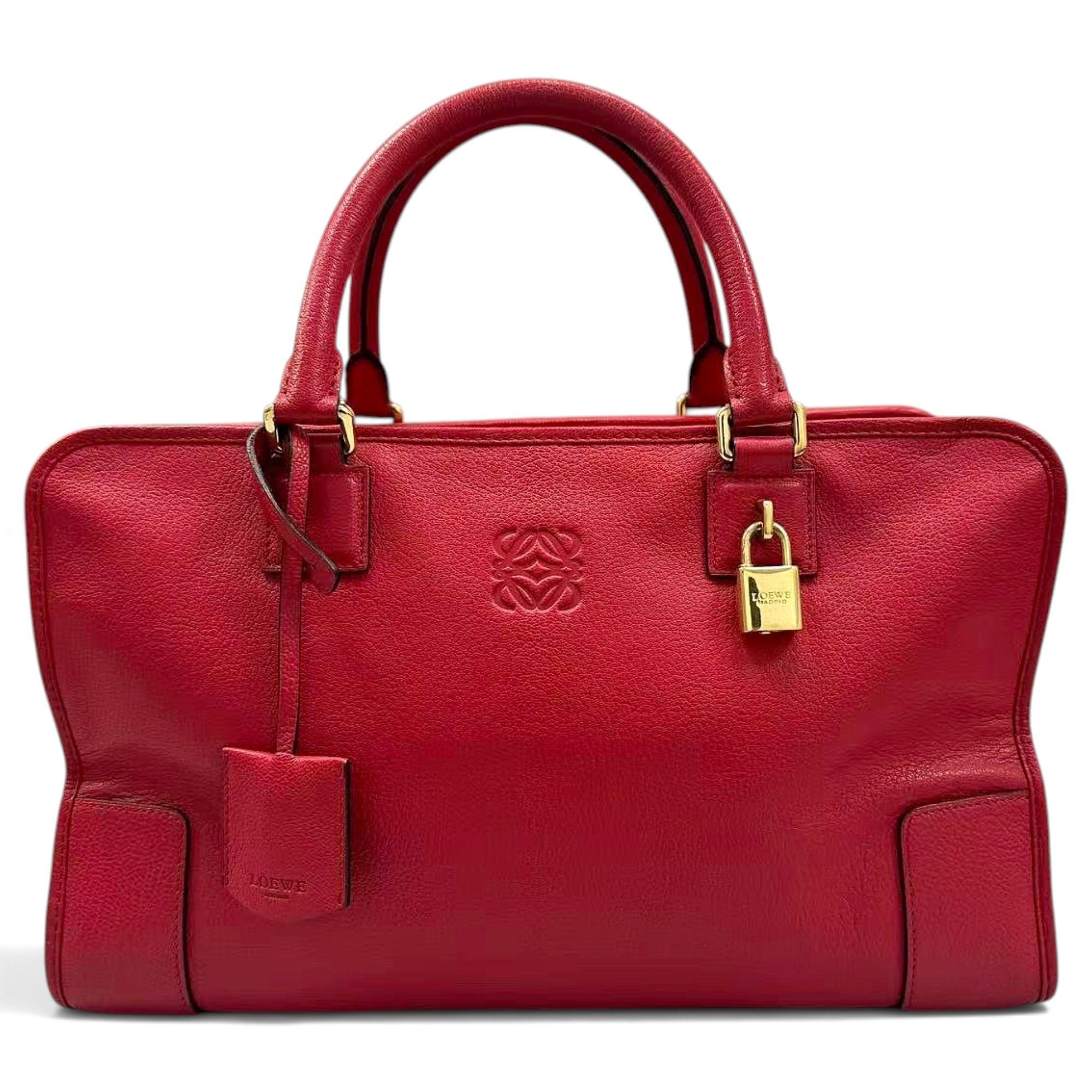 Amazona leather handbag