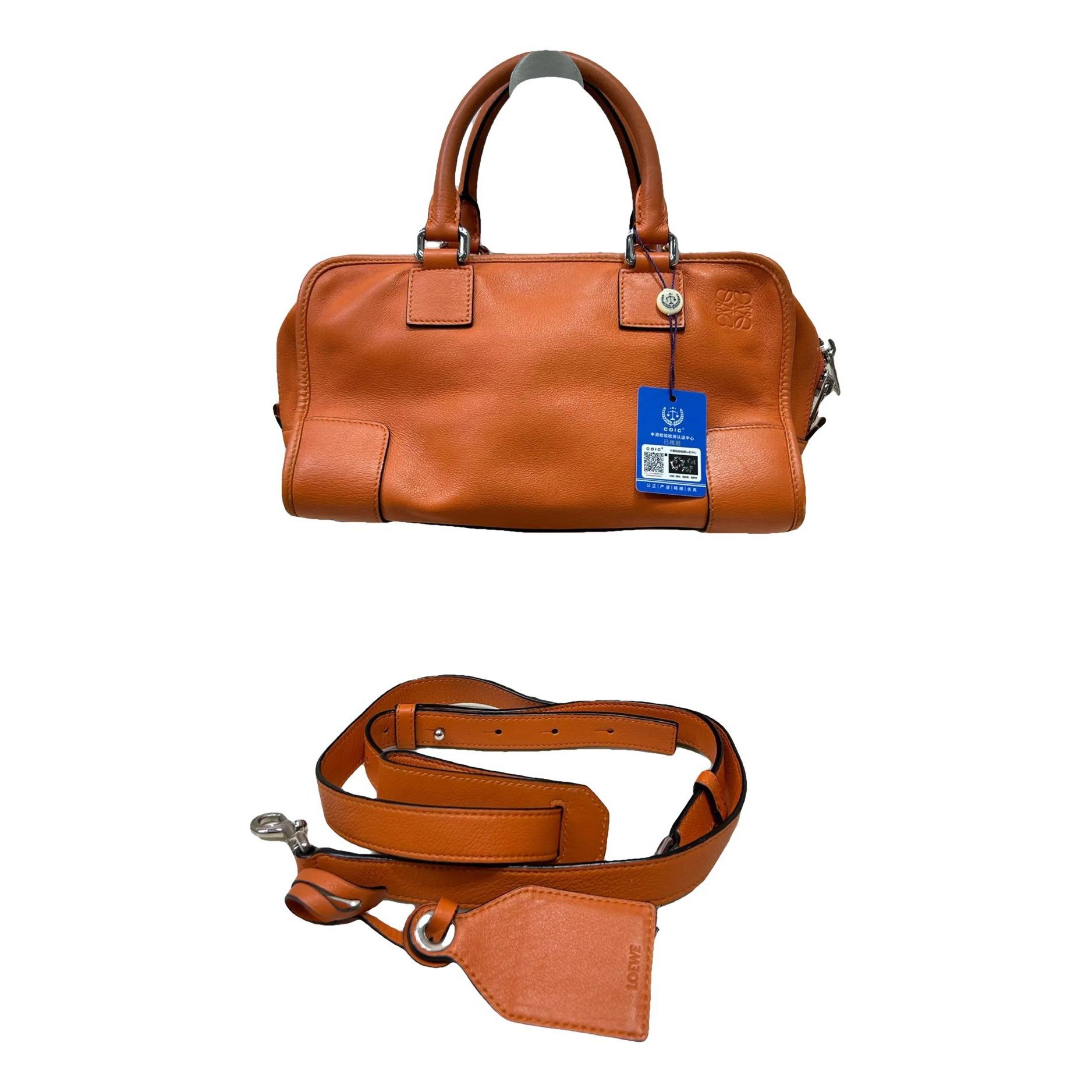 Amazona leather handbag