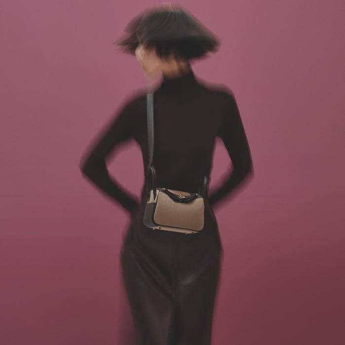 Lindy II Mini Bag Toile & Cuir