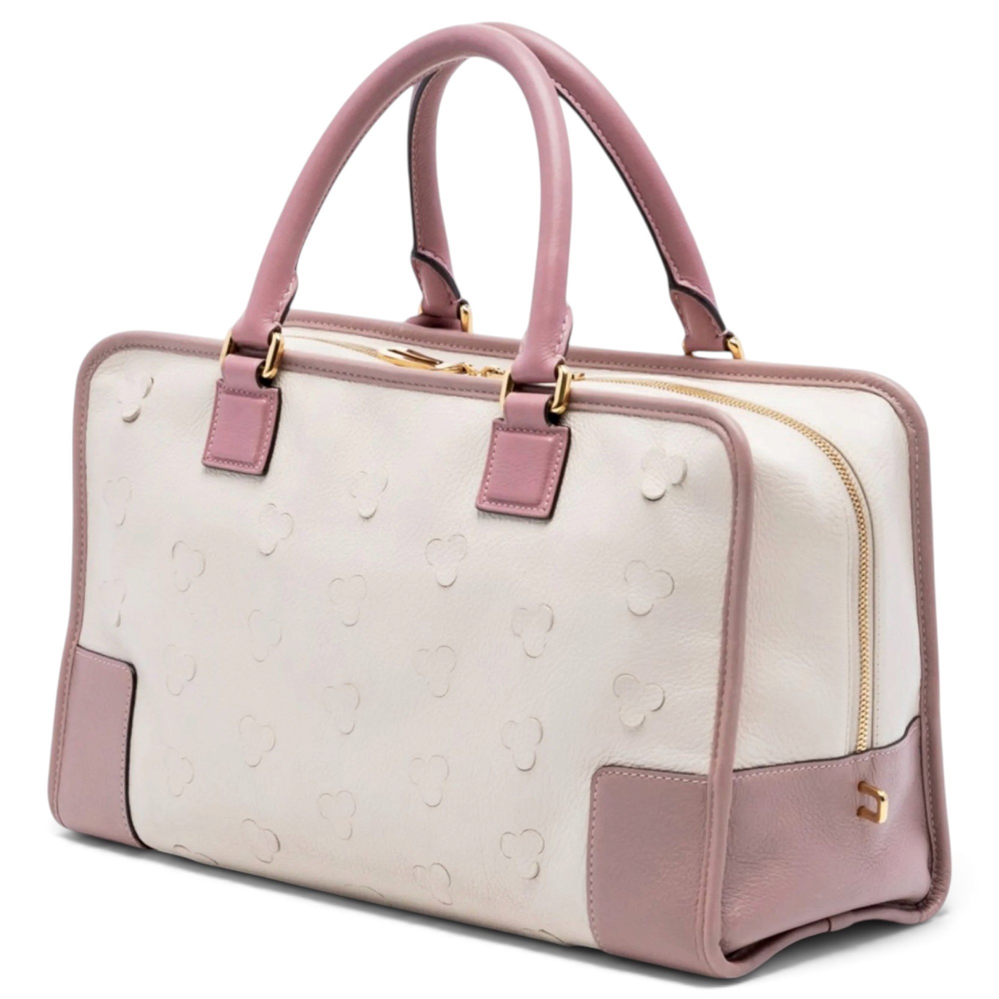 Amazona leather handbag