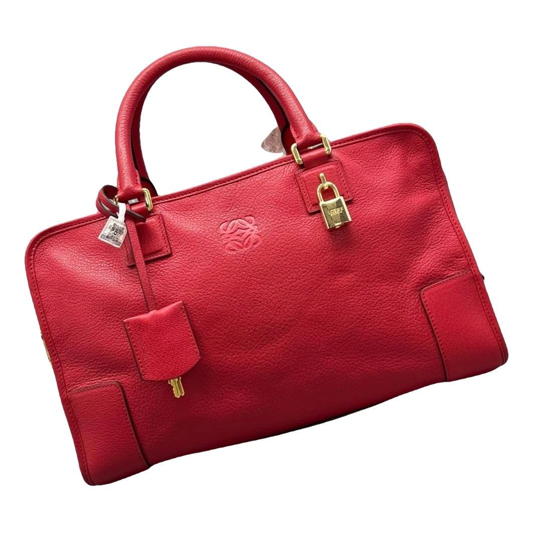Amazona leather handbag