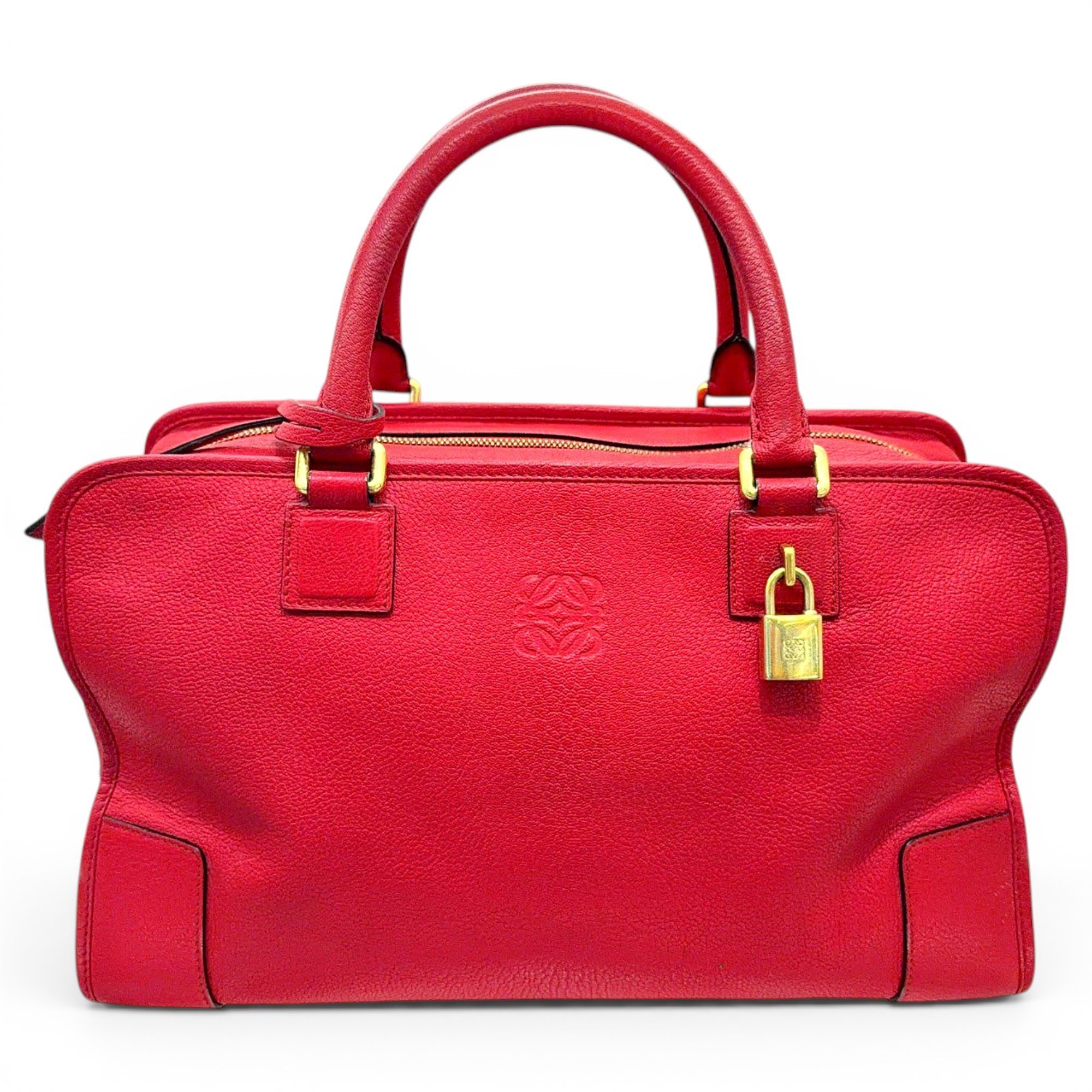 Amazona leather handbag