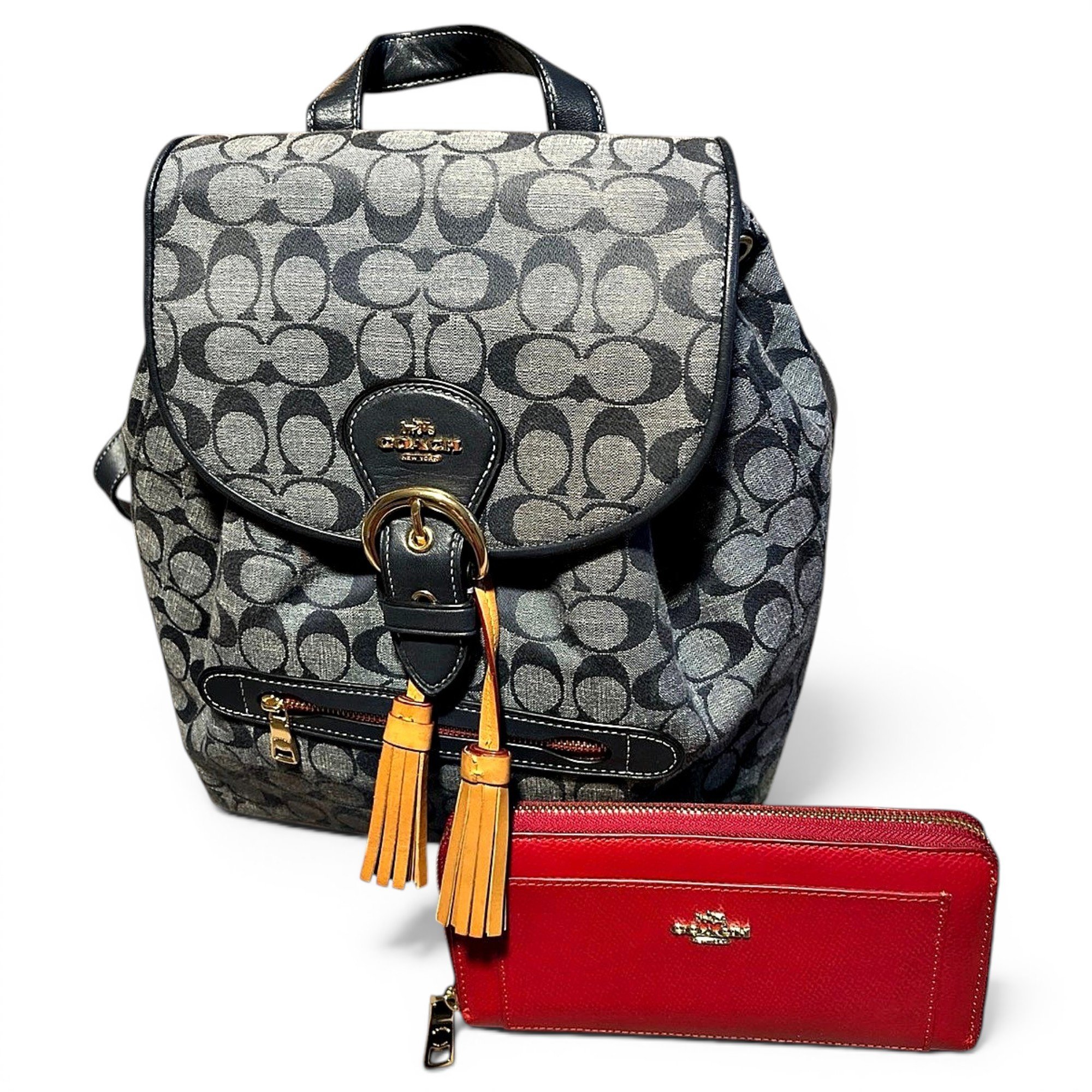 Cloth backpack