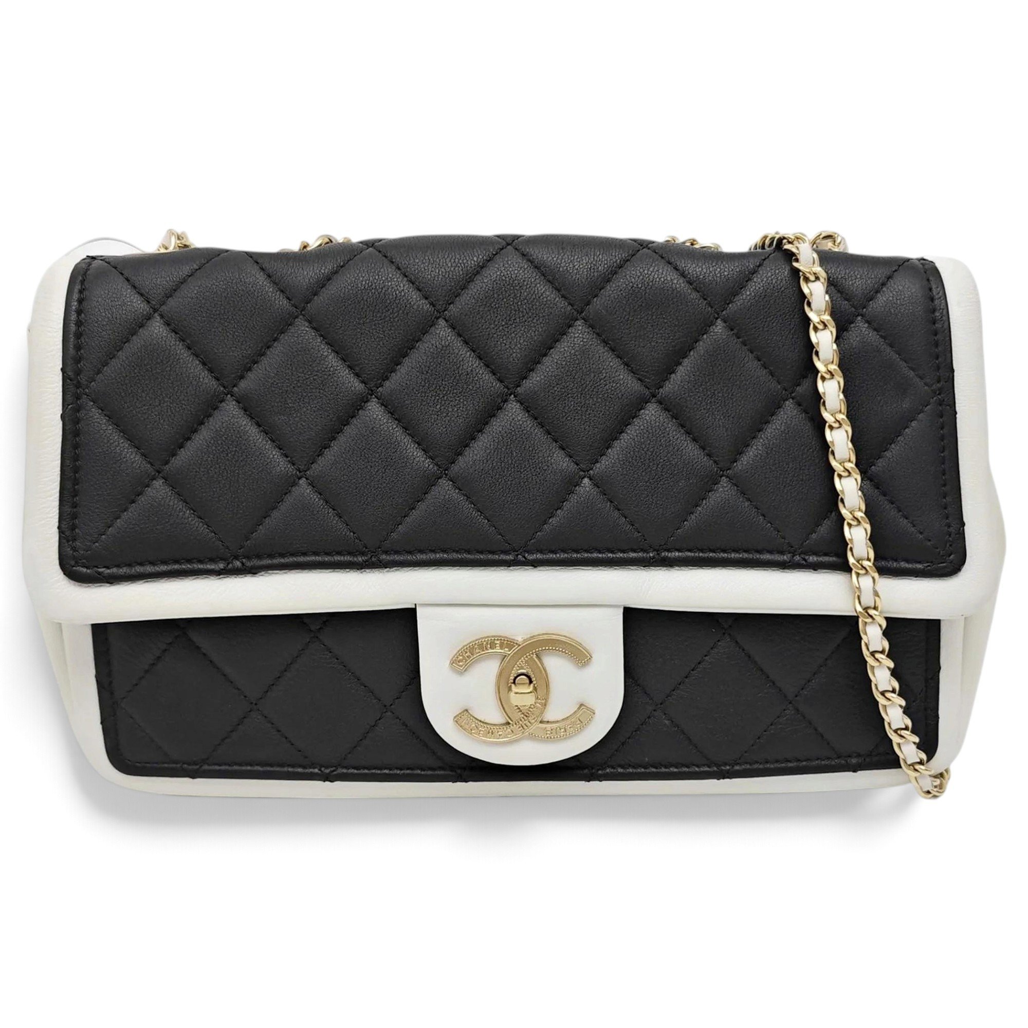 Timeless/Classique leather bag