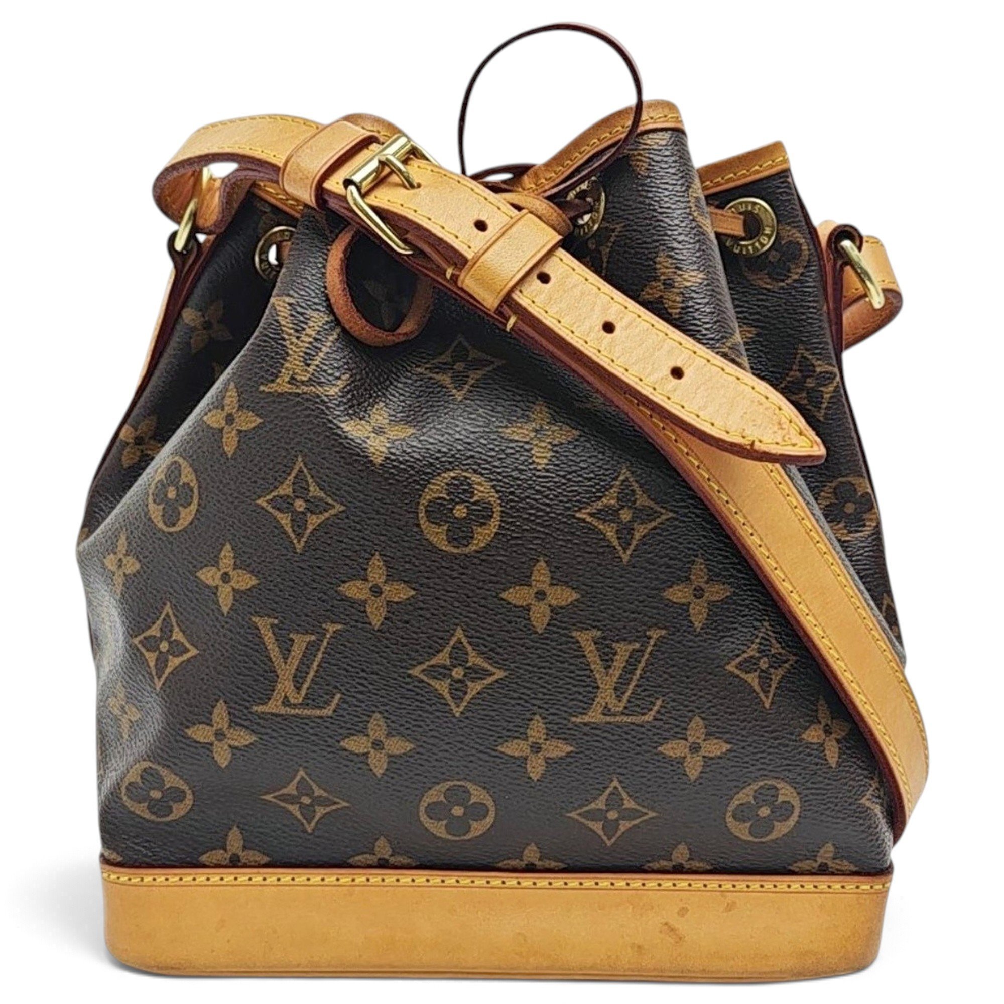 Nano Noé leather handbag